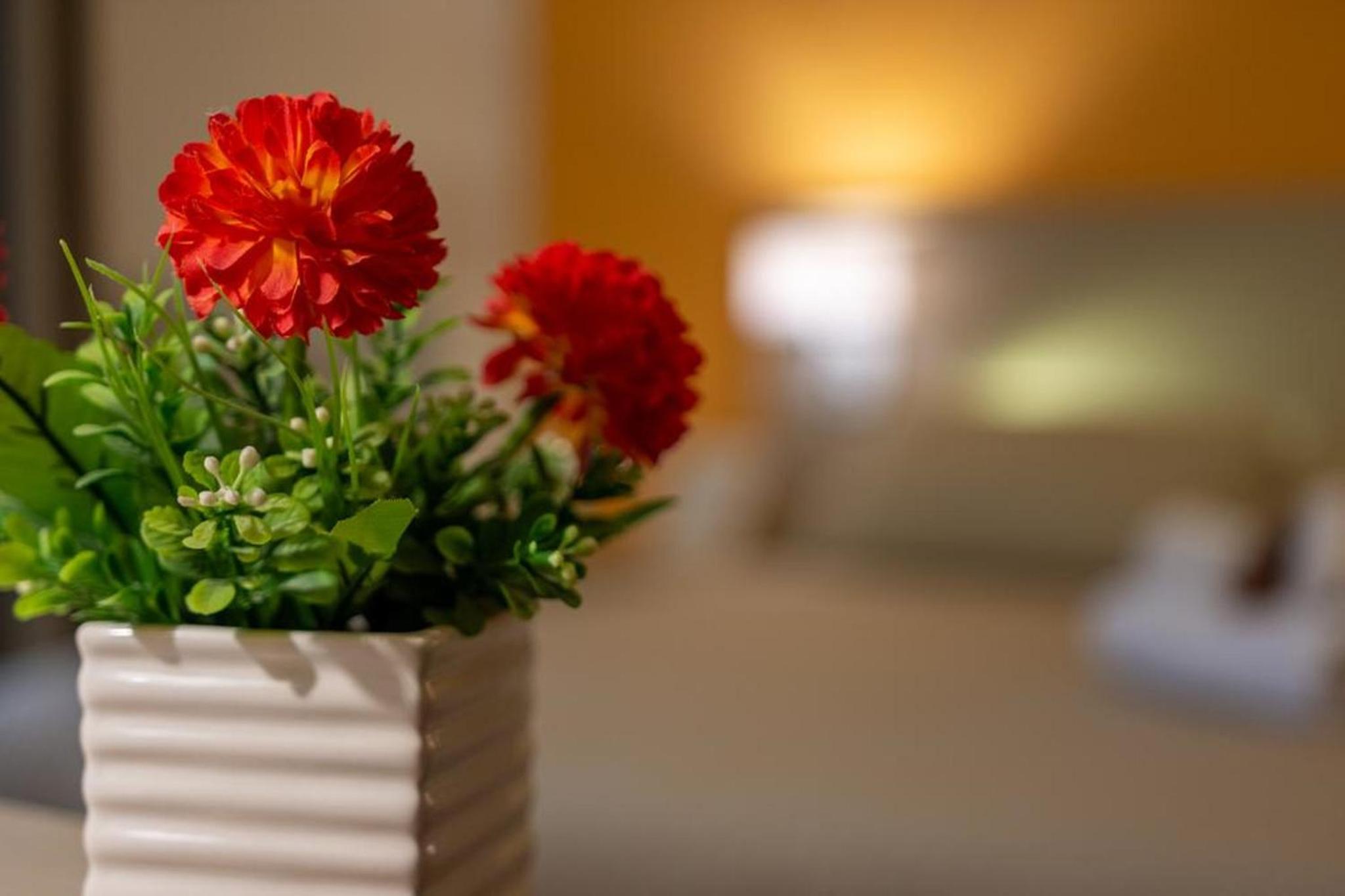 Terra di Venere photo 4