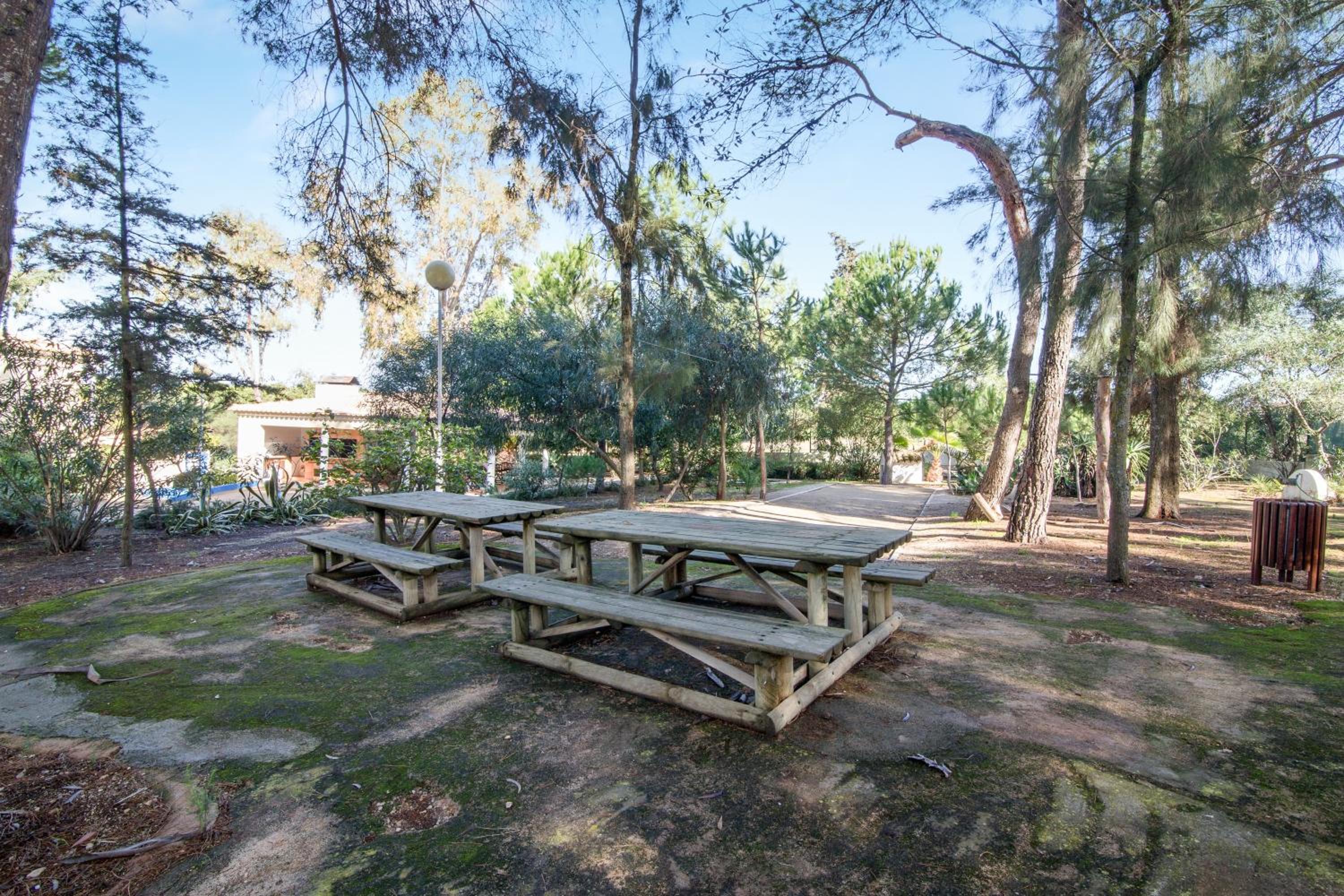 Bosque São José Ag