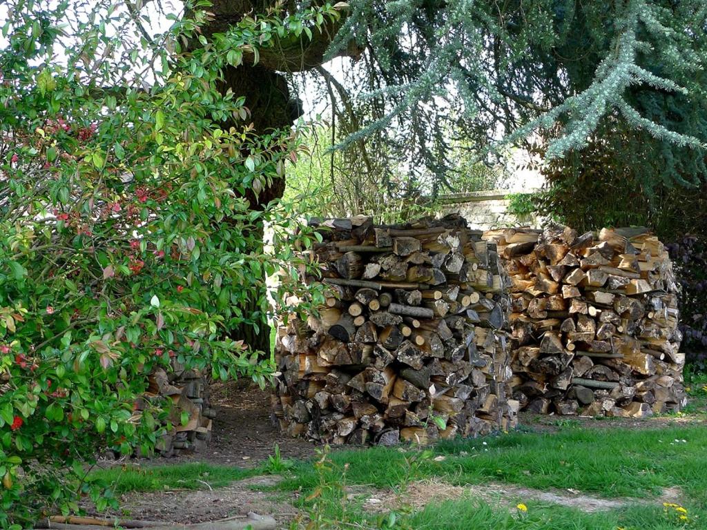 Le Sous-bois B&B