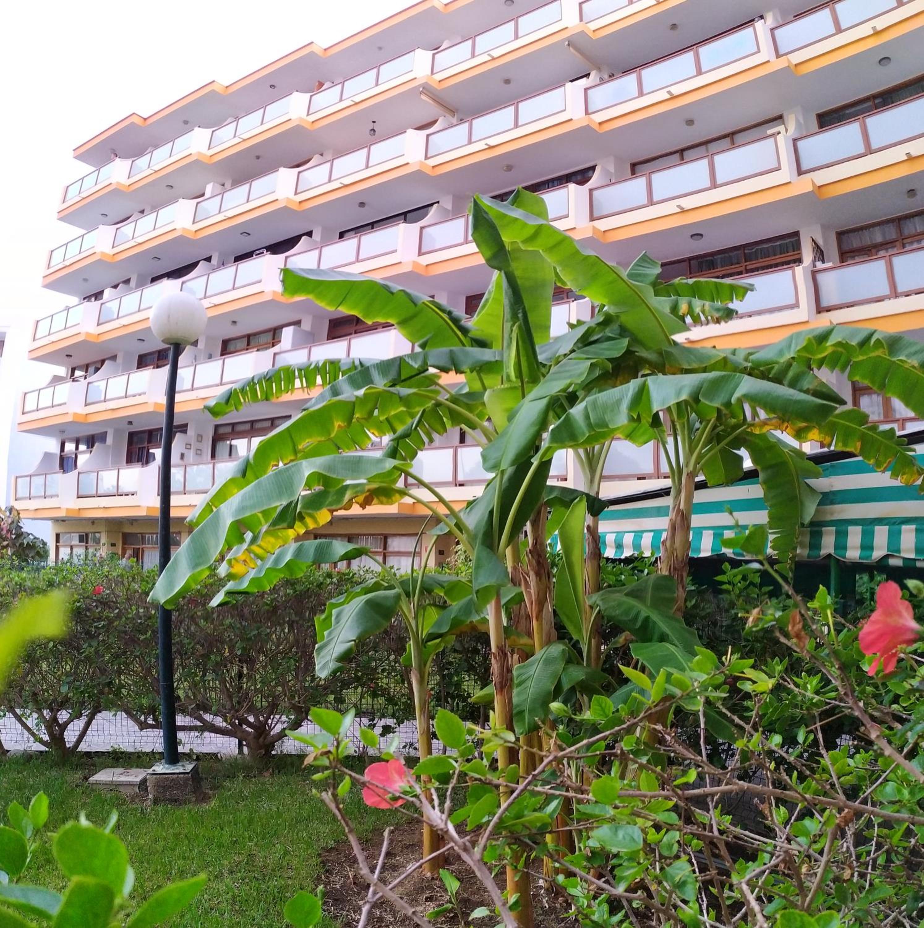 Apartamentos Australia