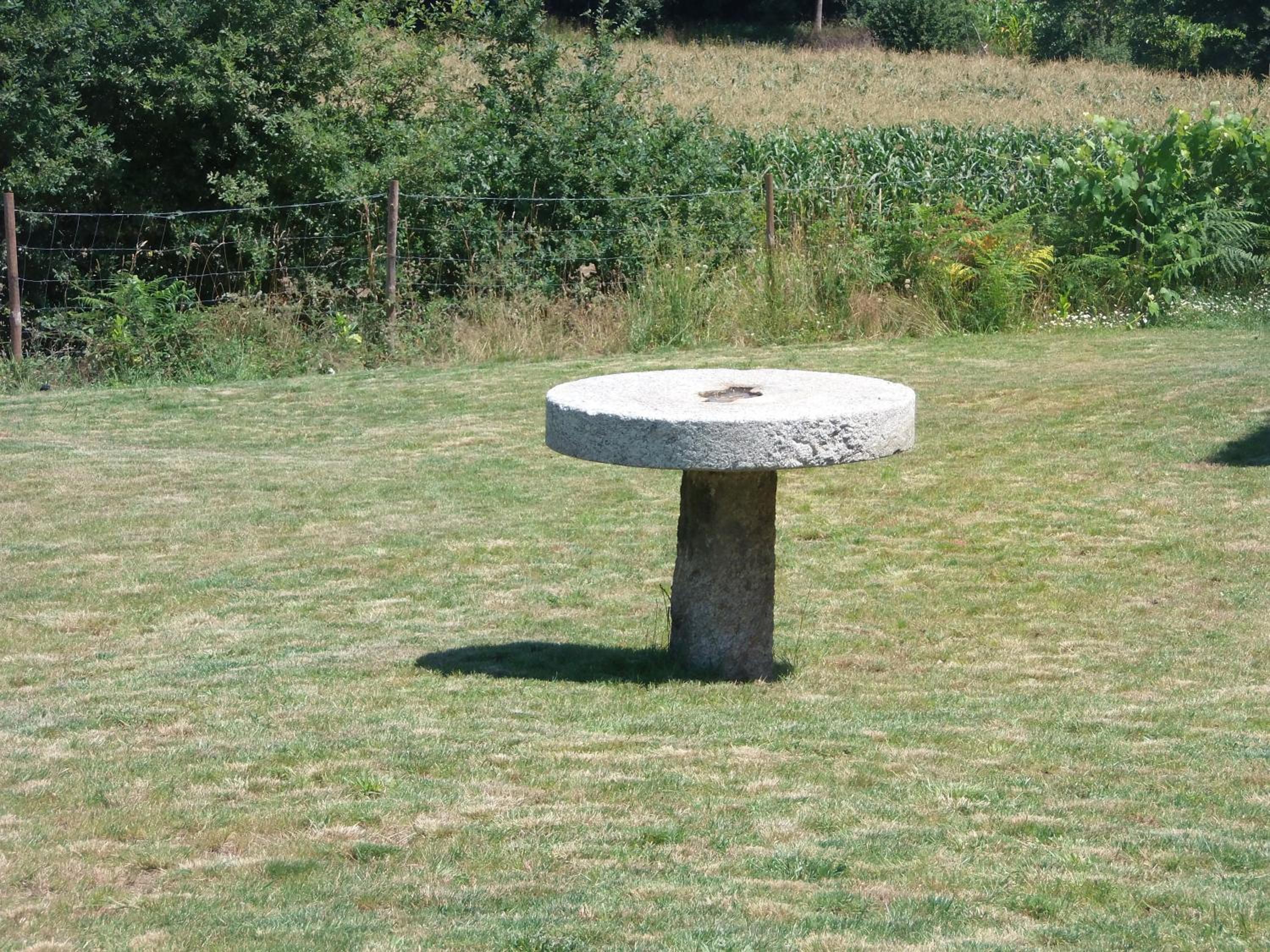 Photo 23