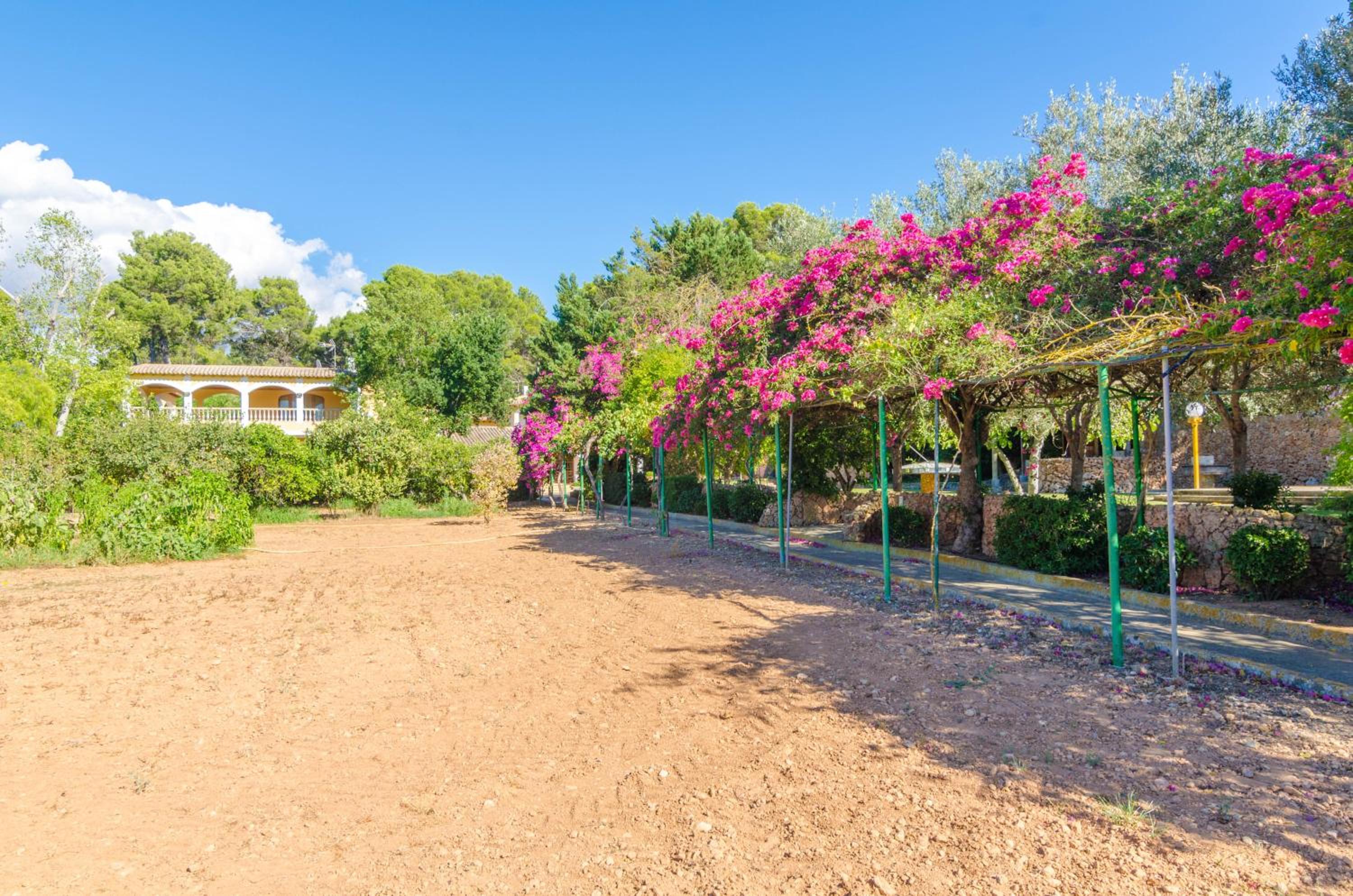 Finca Son Pou