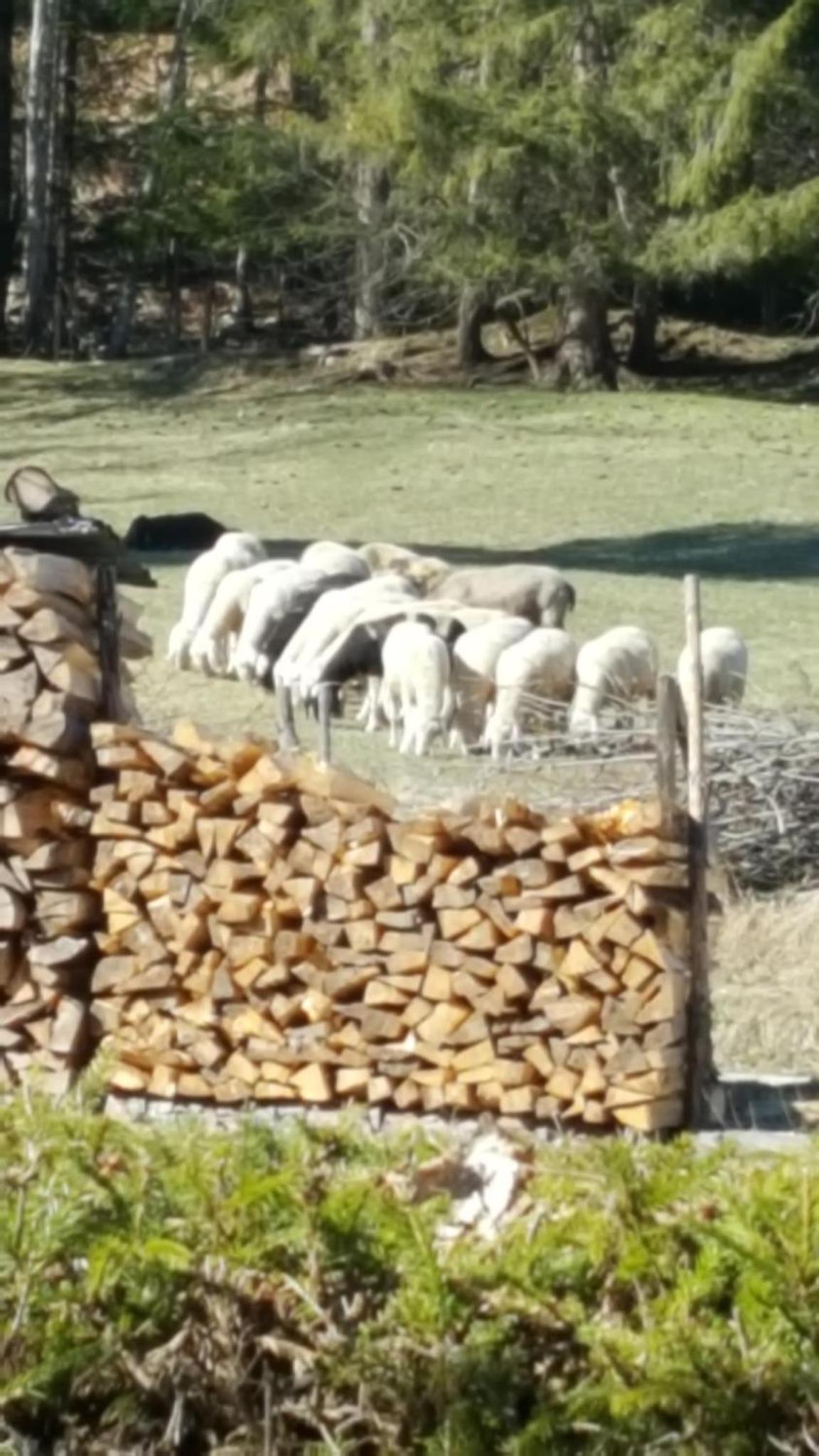 Haus Betz