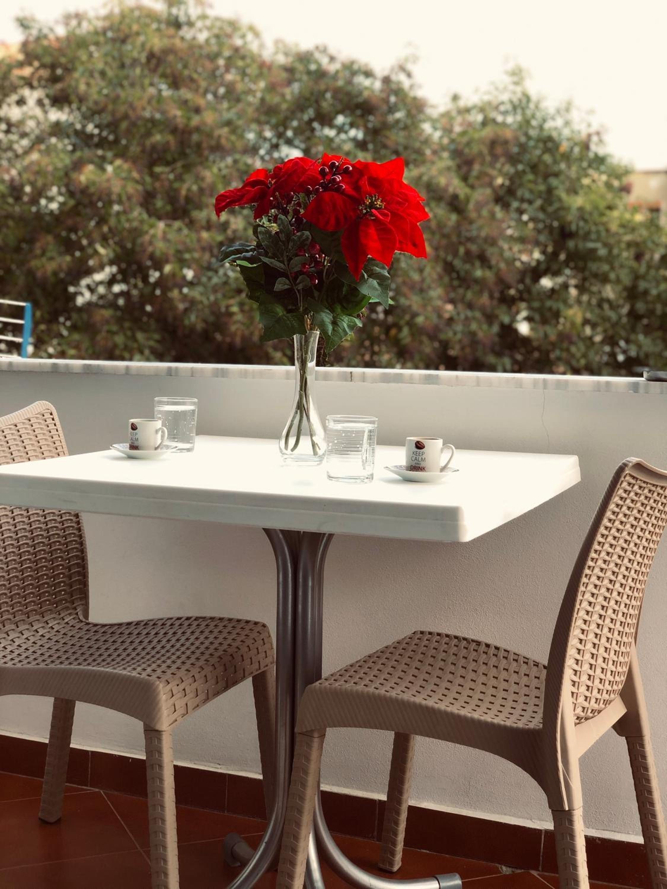 Dafina Central Apartment