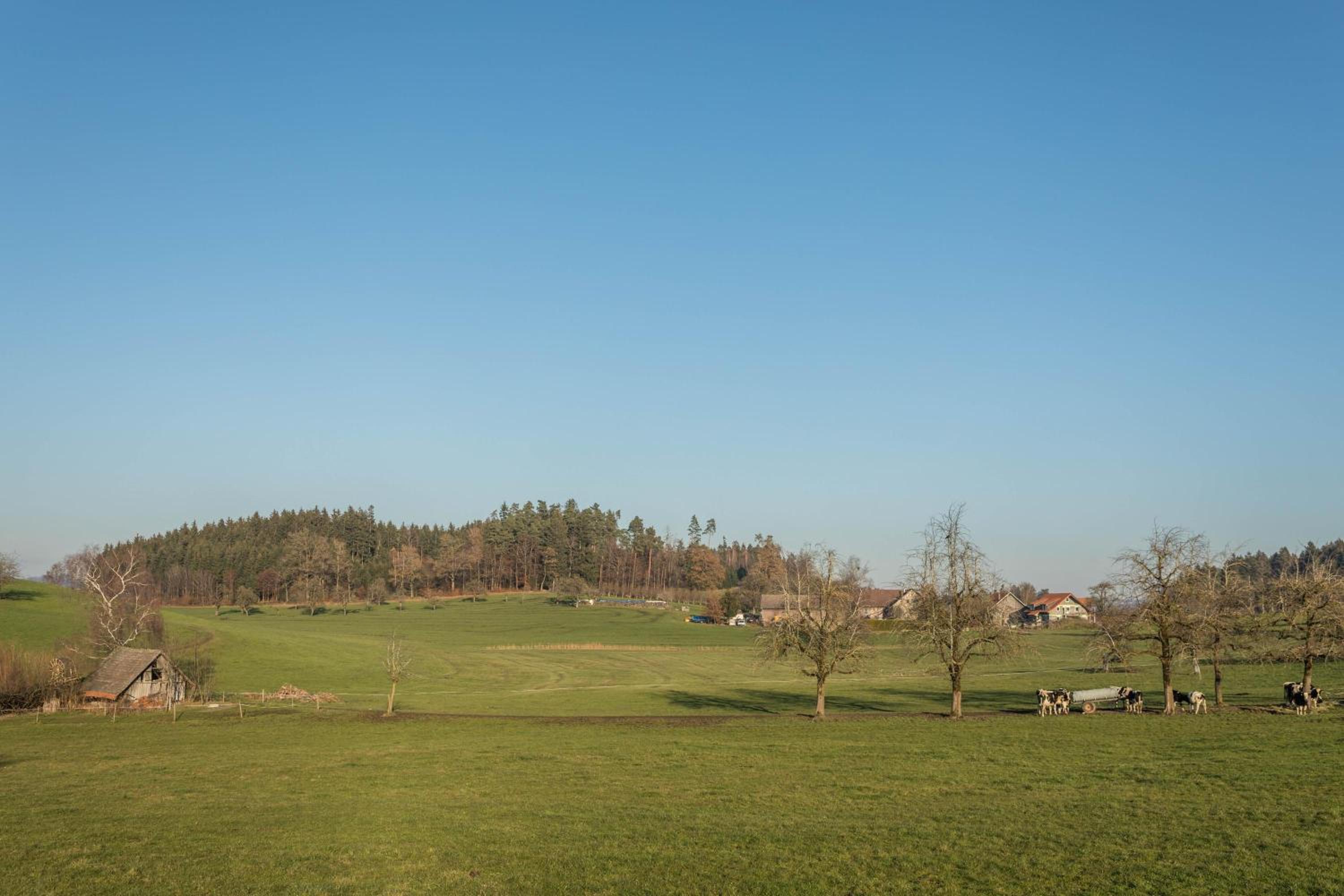 Ferienhof Sauter Romanshorn