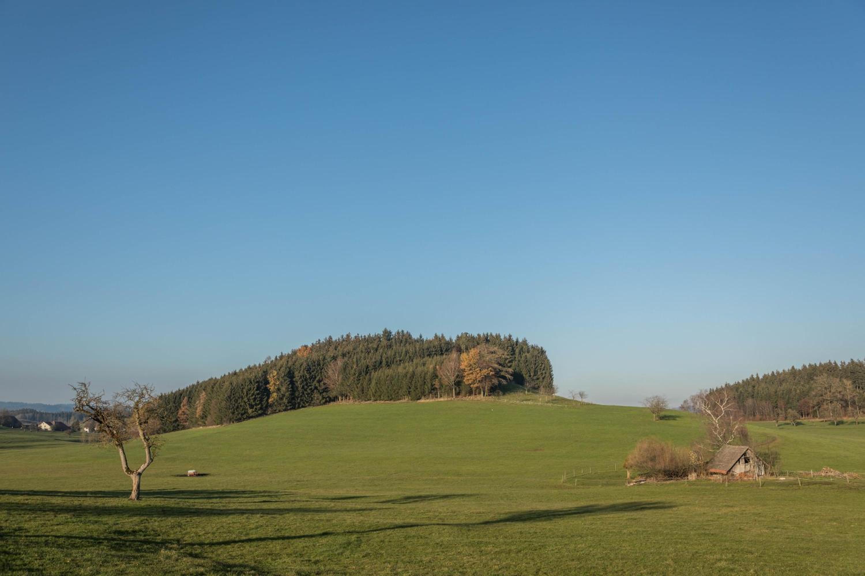 Ferienhof Sauter Romanshorn
