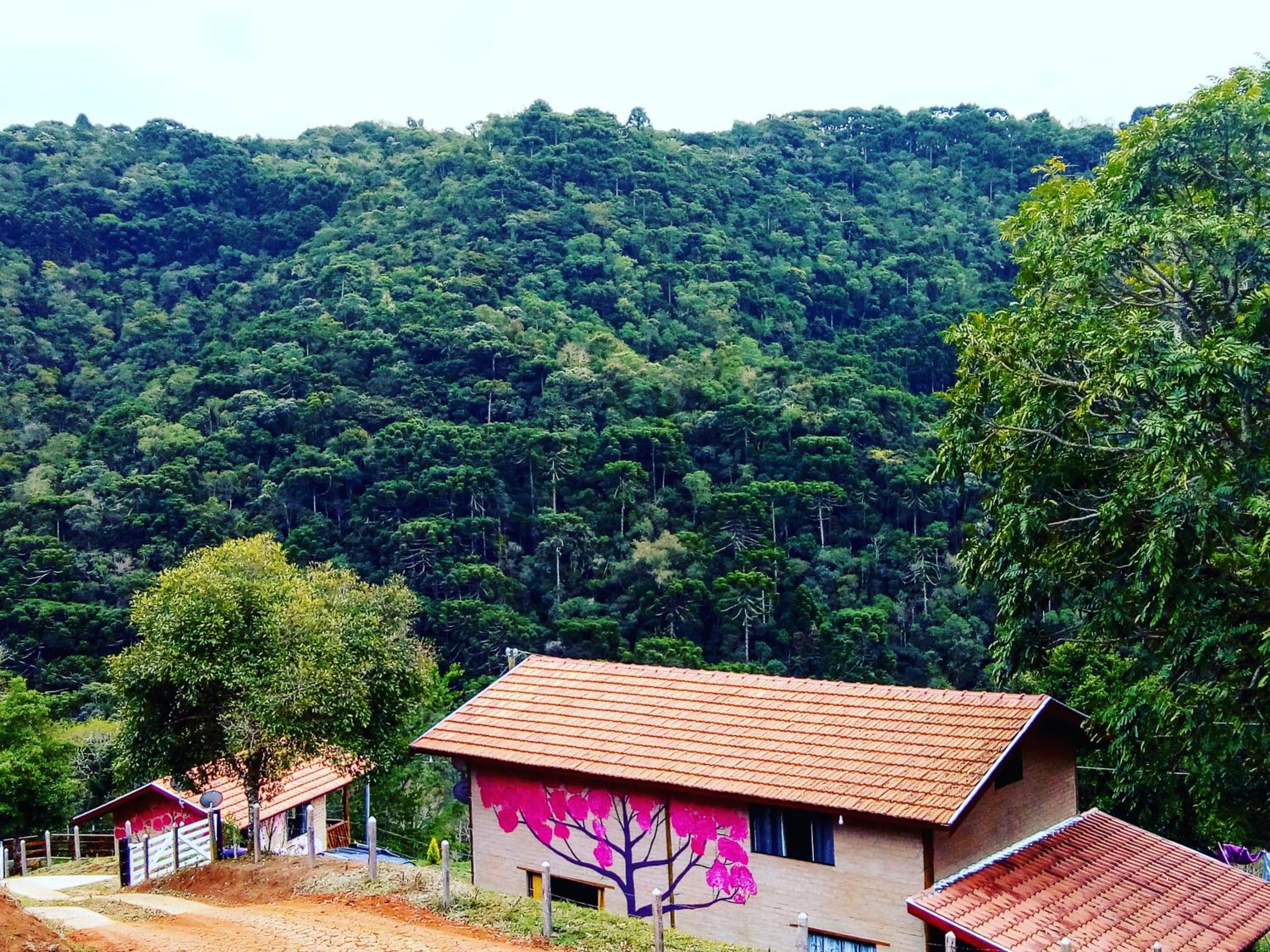 Bangalô Sonho na Serra