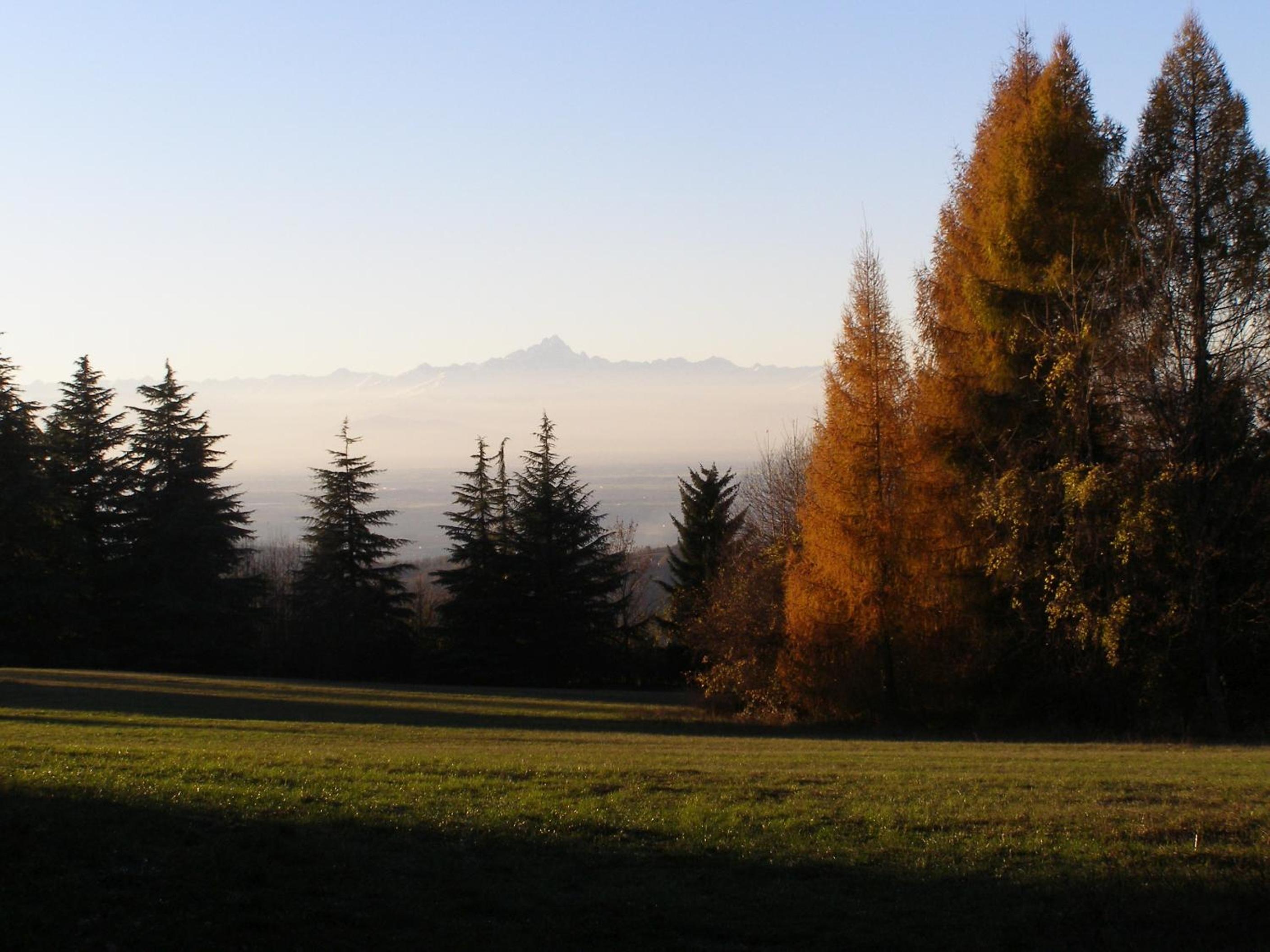 Photo 44