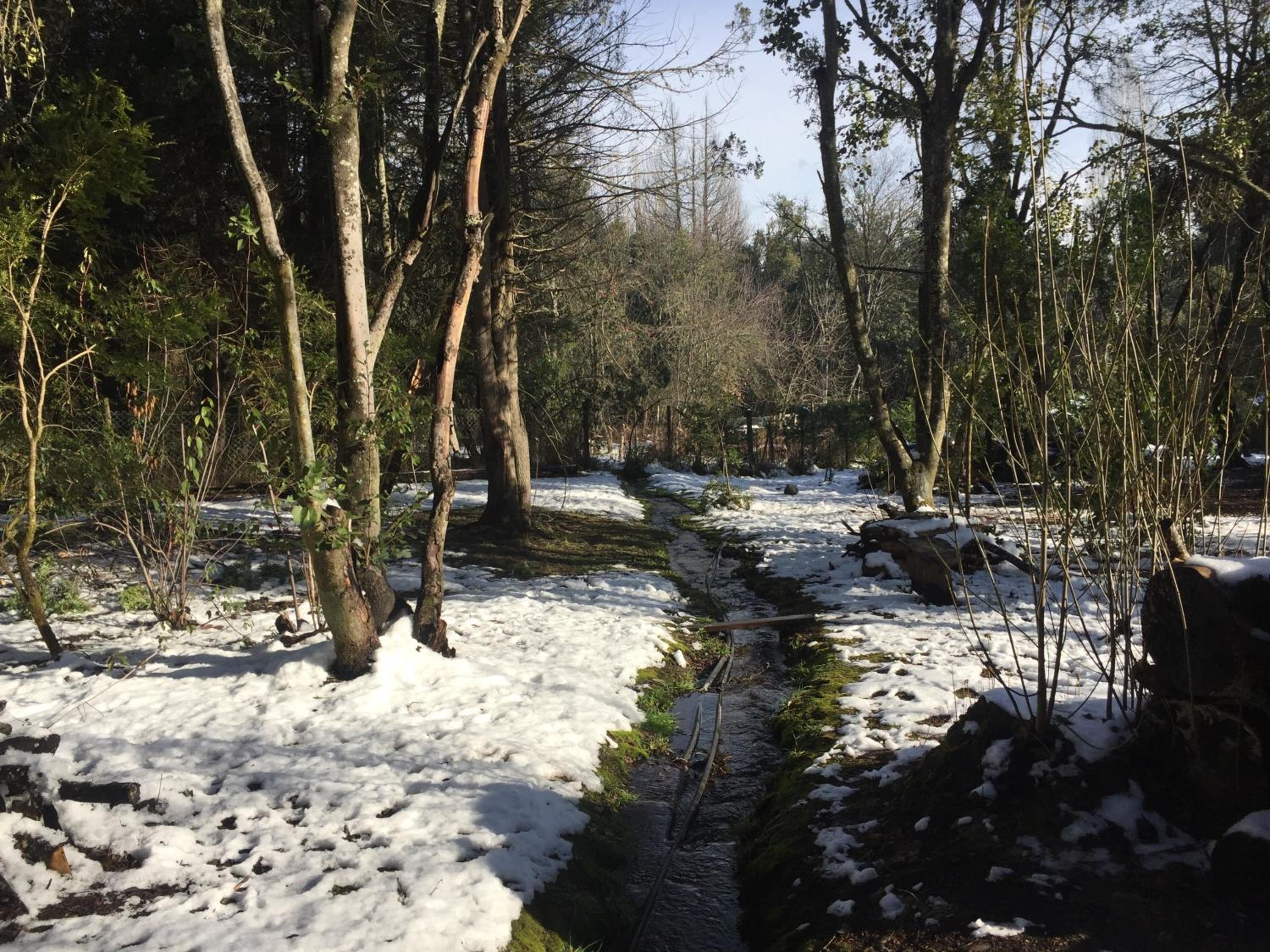 Altos del Sur Cabañas de Montaña