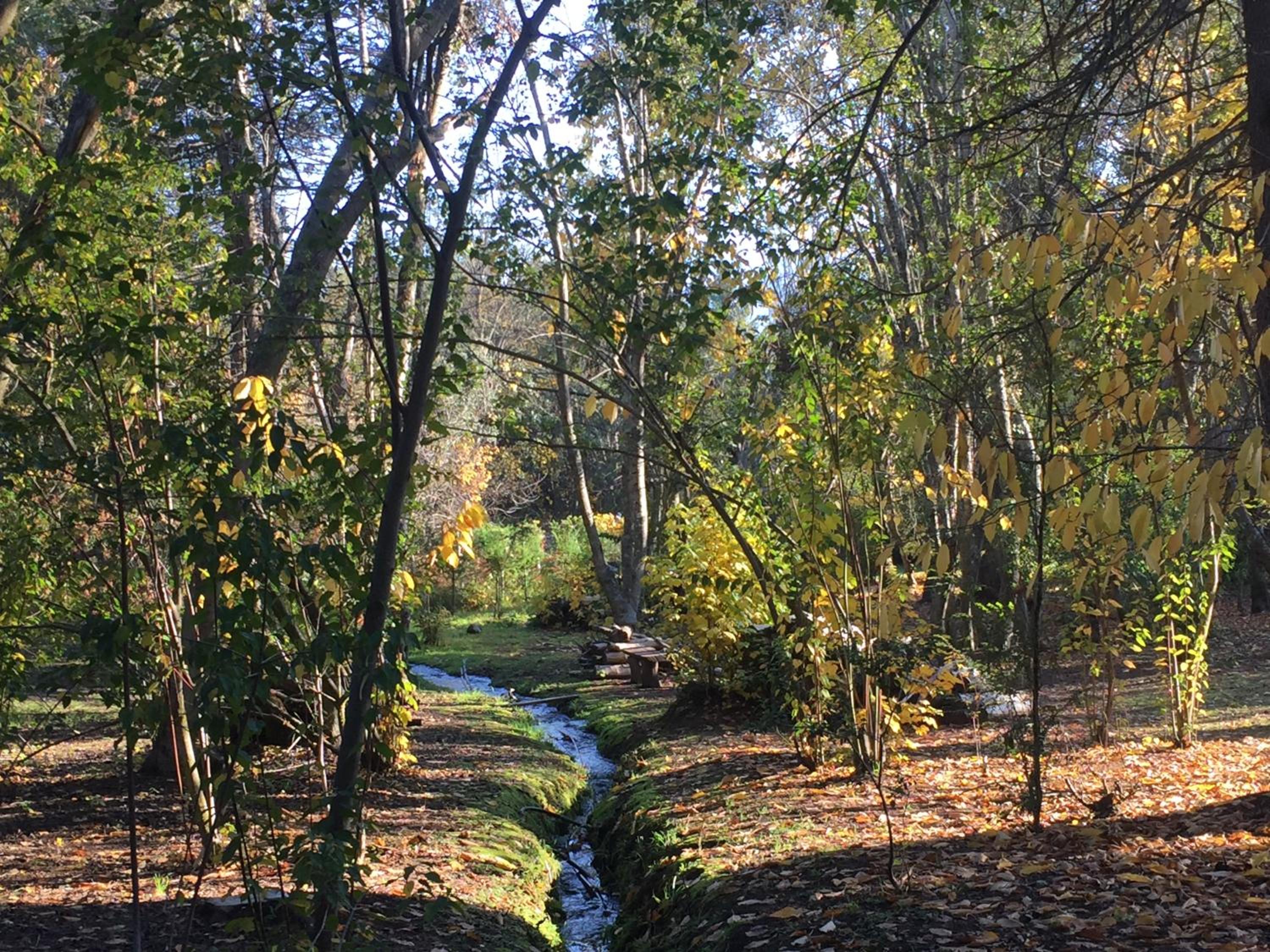 Altos del Sur Cabañas de Montaña