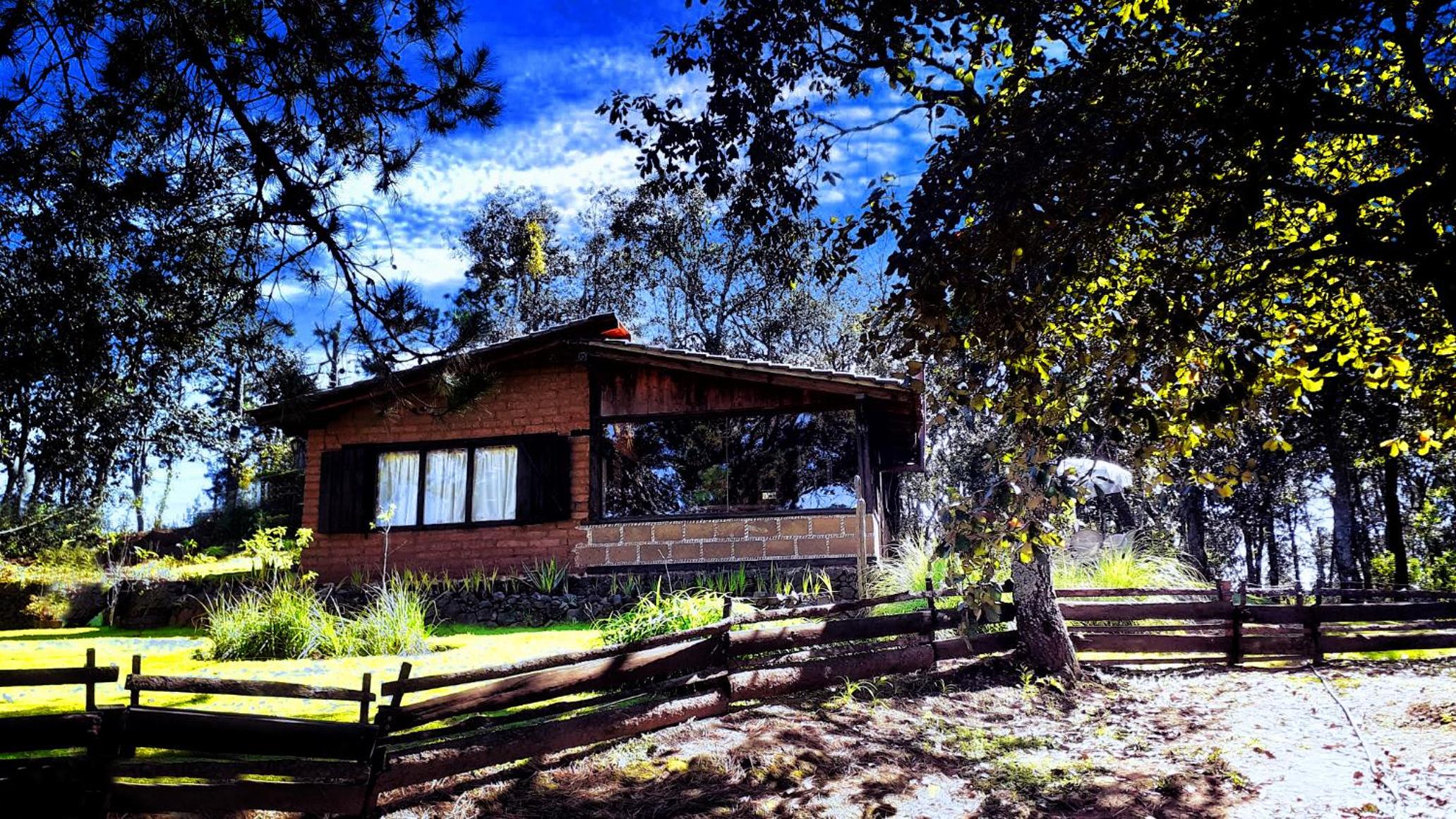 Cabaña en medio del bosque ZA