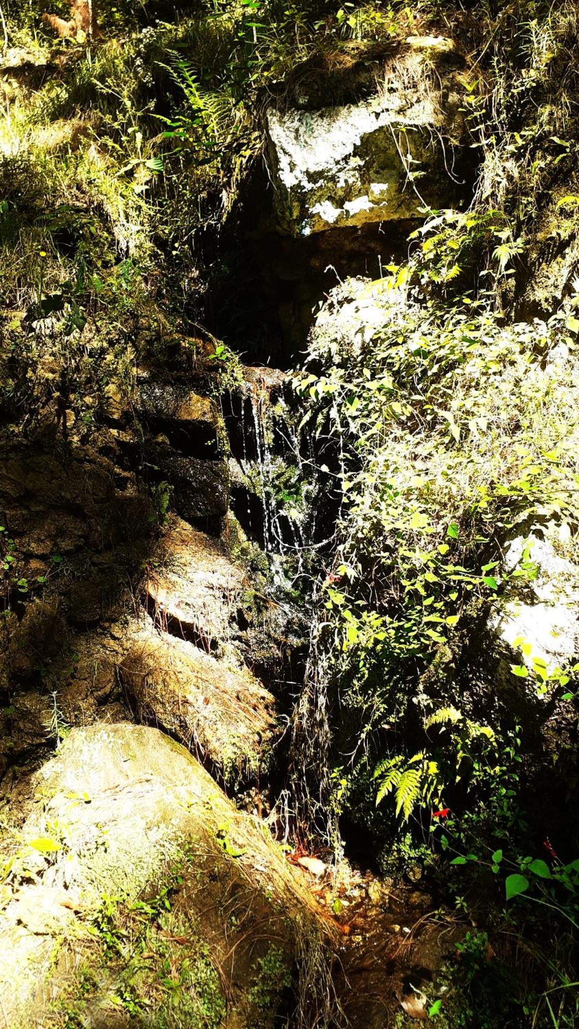 Cabaña en medio del bosque ZA
