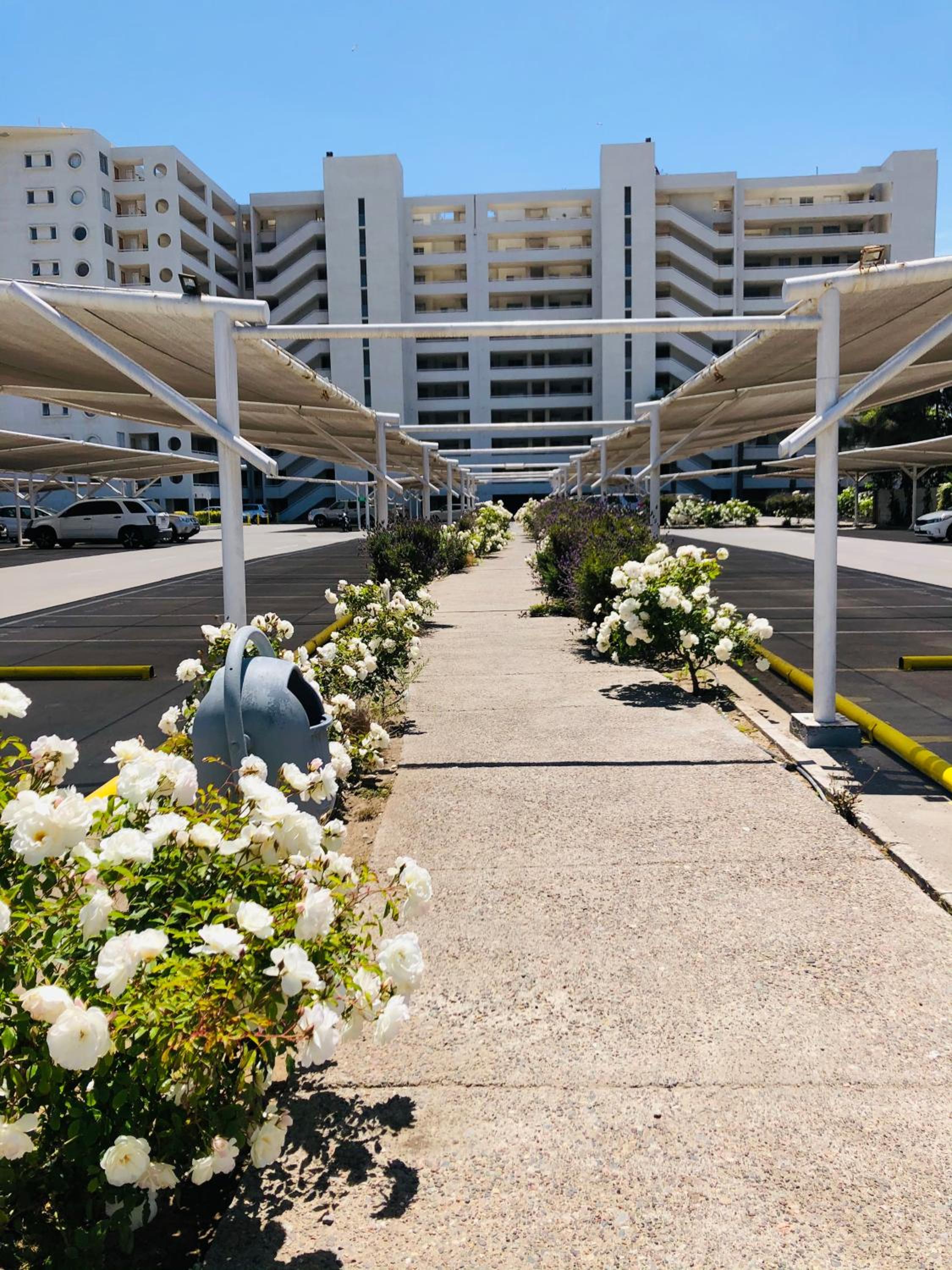 Departamento La Serena Avenida Del Mar