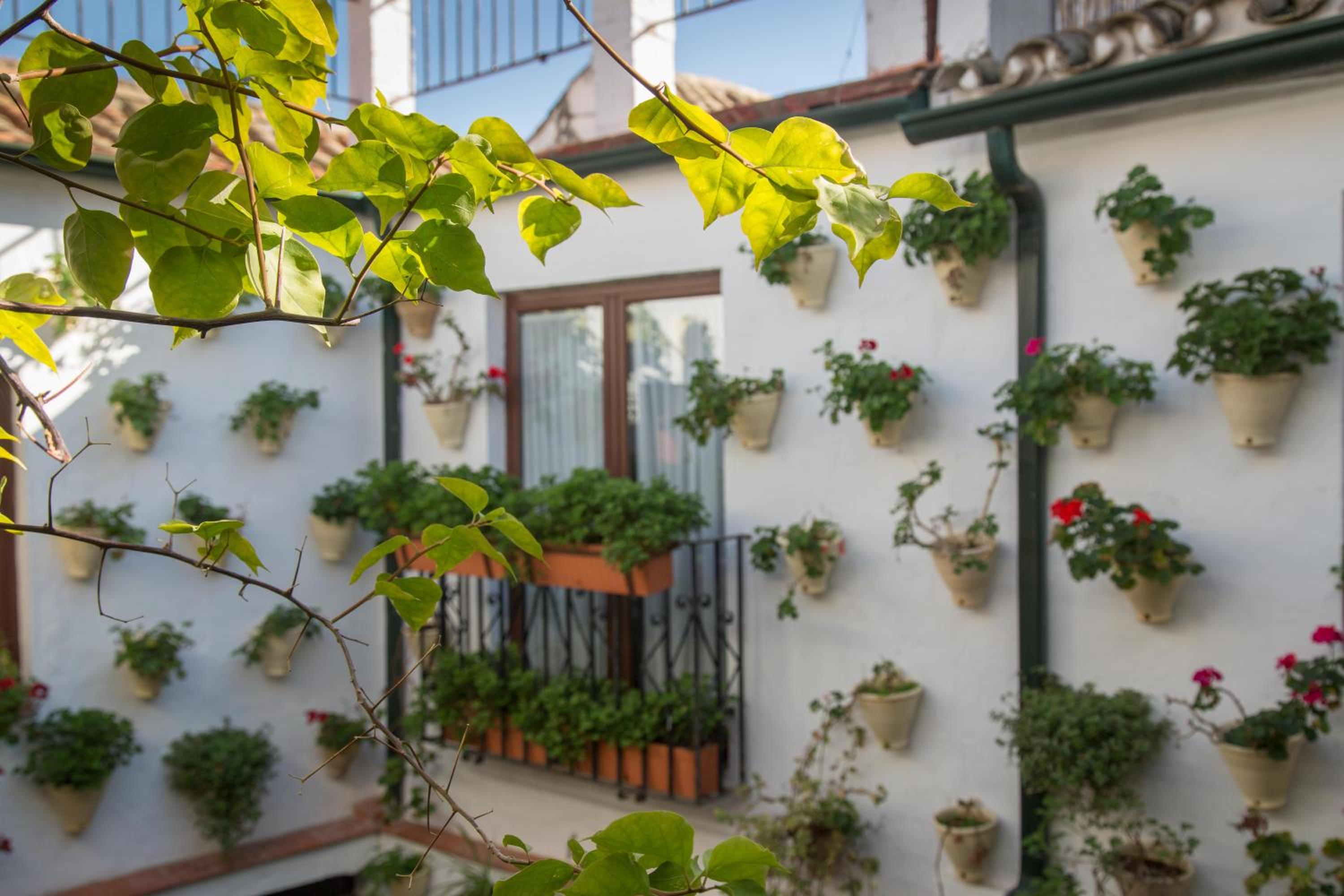 La Sultana Apartamentos