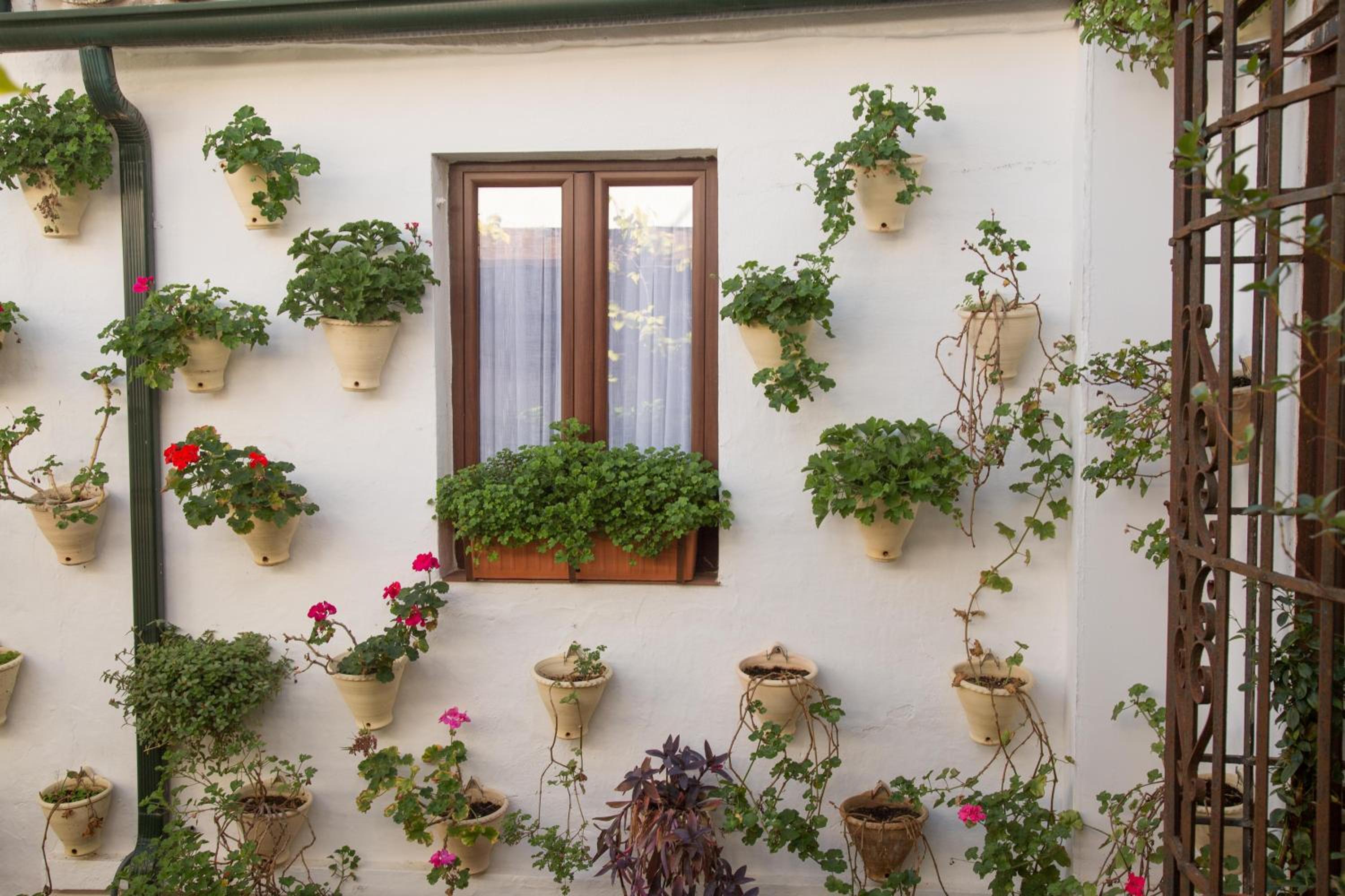 La Sultana Apartamentos