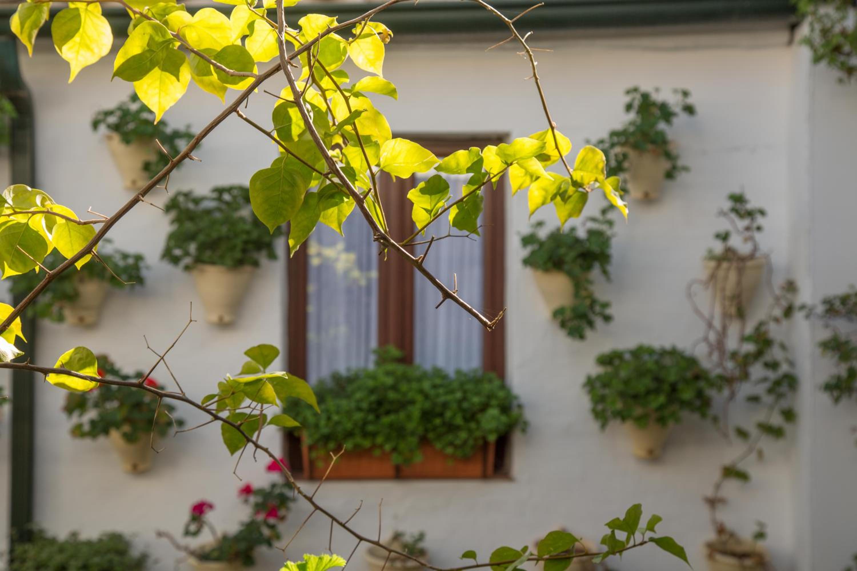 La Sultana Apartamentos