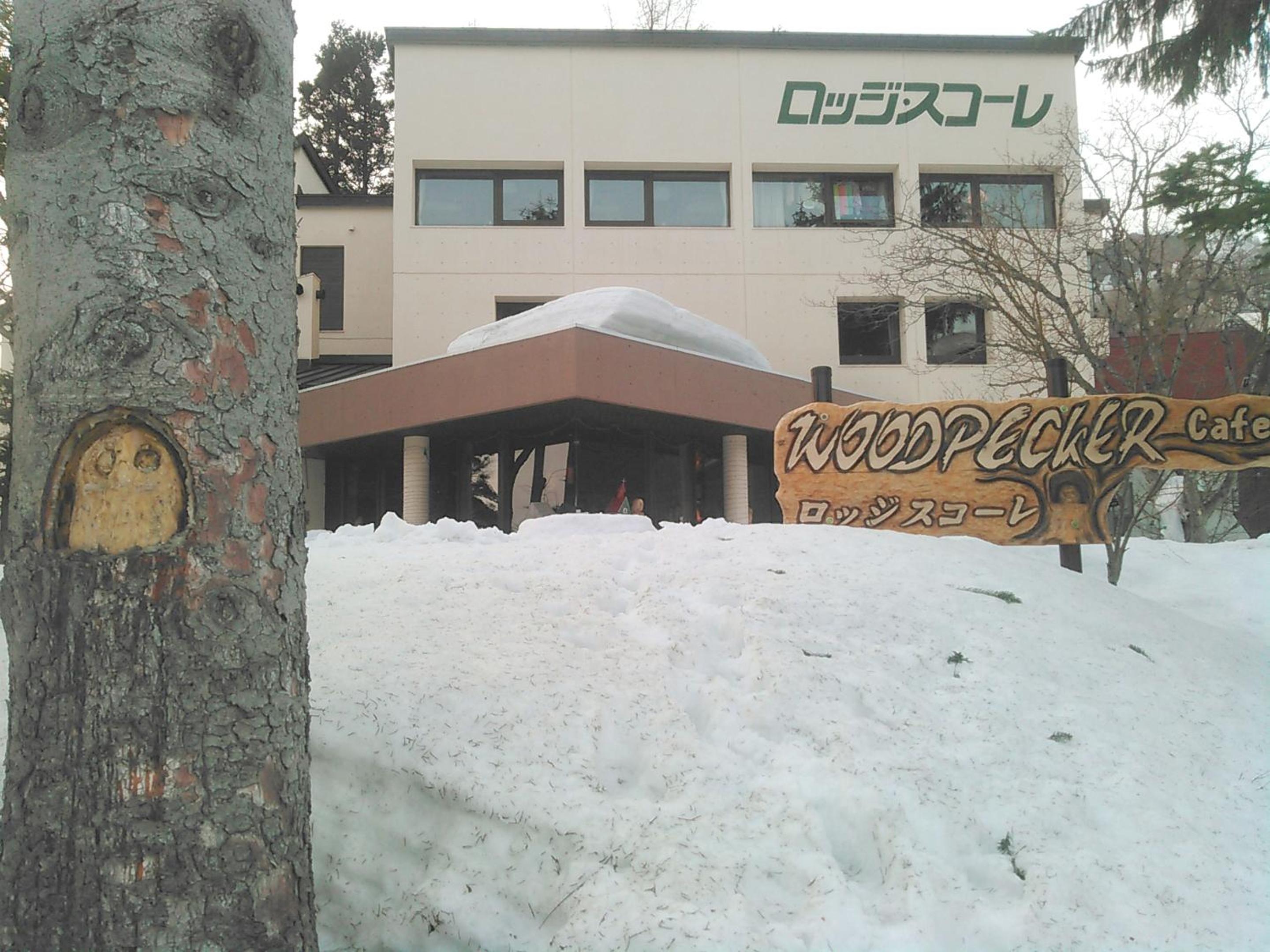 Lodge Scole