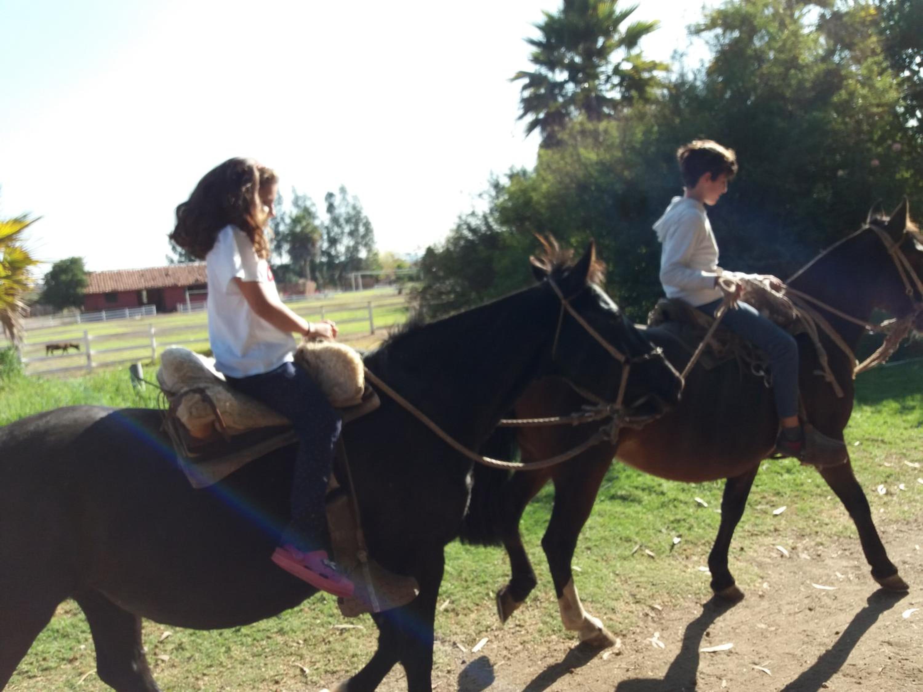 Hotel Haras Casacampo