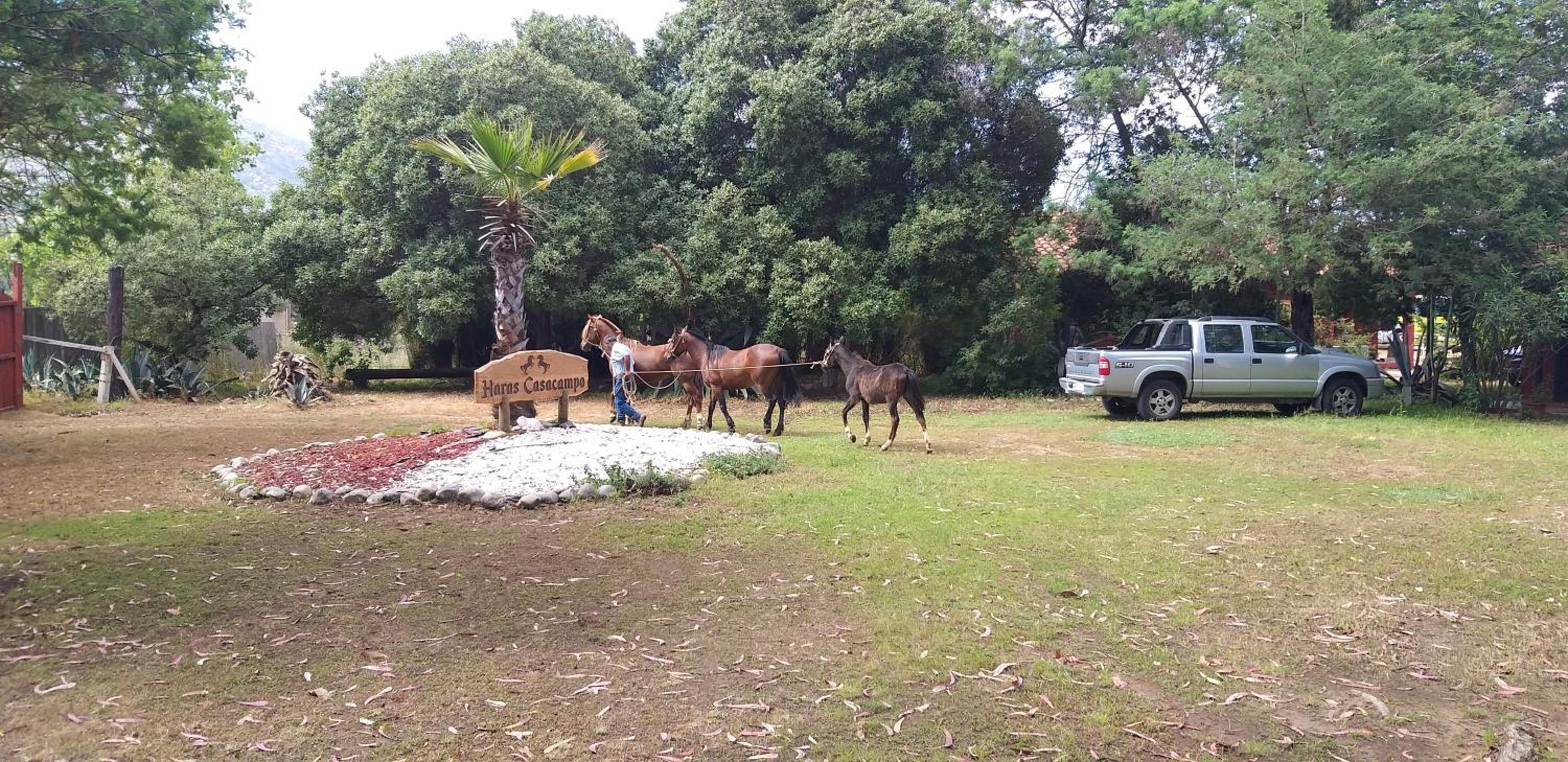 Hotel Haras Casacampo