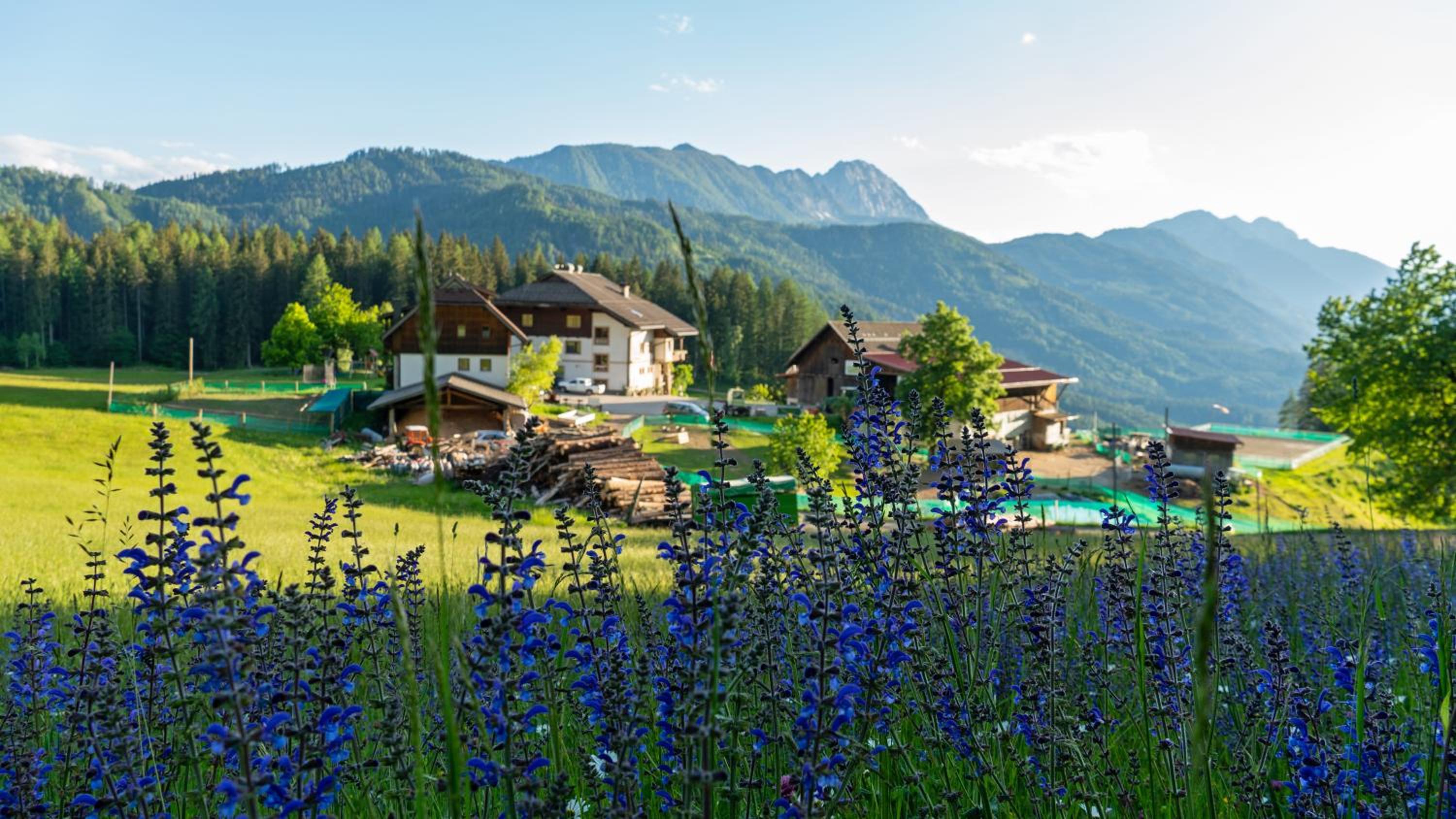 Erlebnishof Tschabitscher