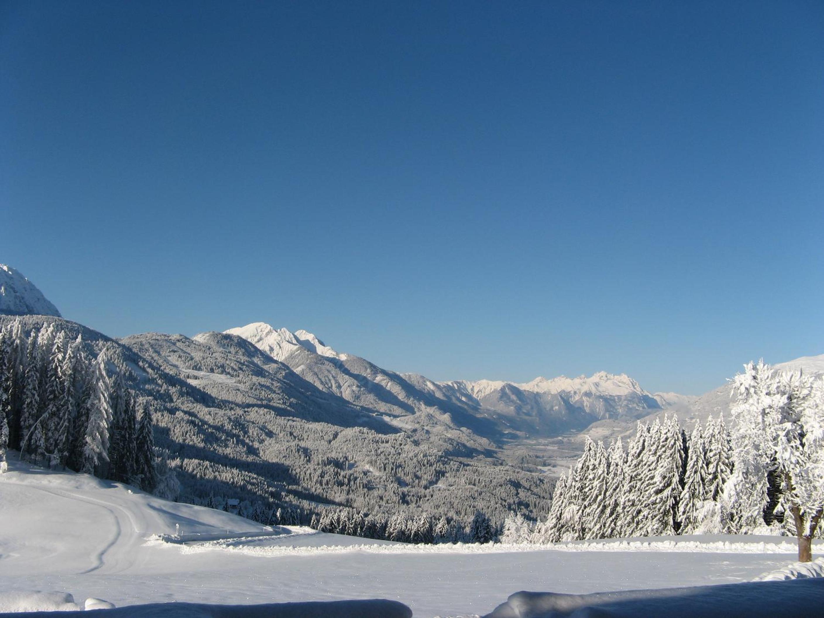 Erlebnishof Tschabitscher