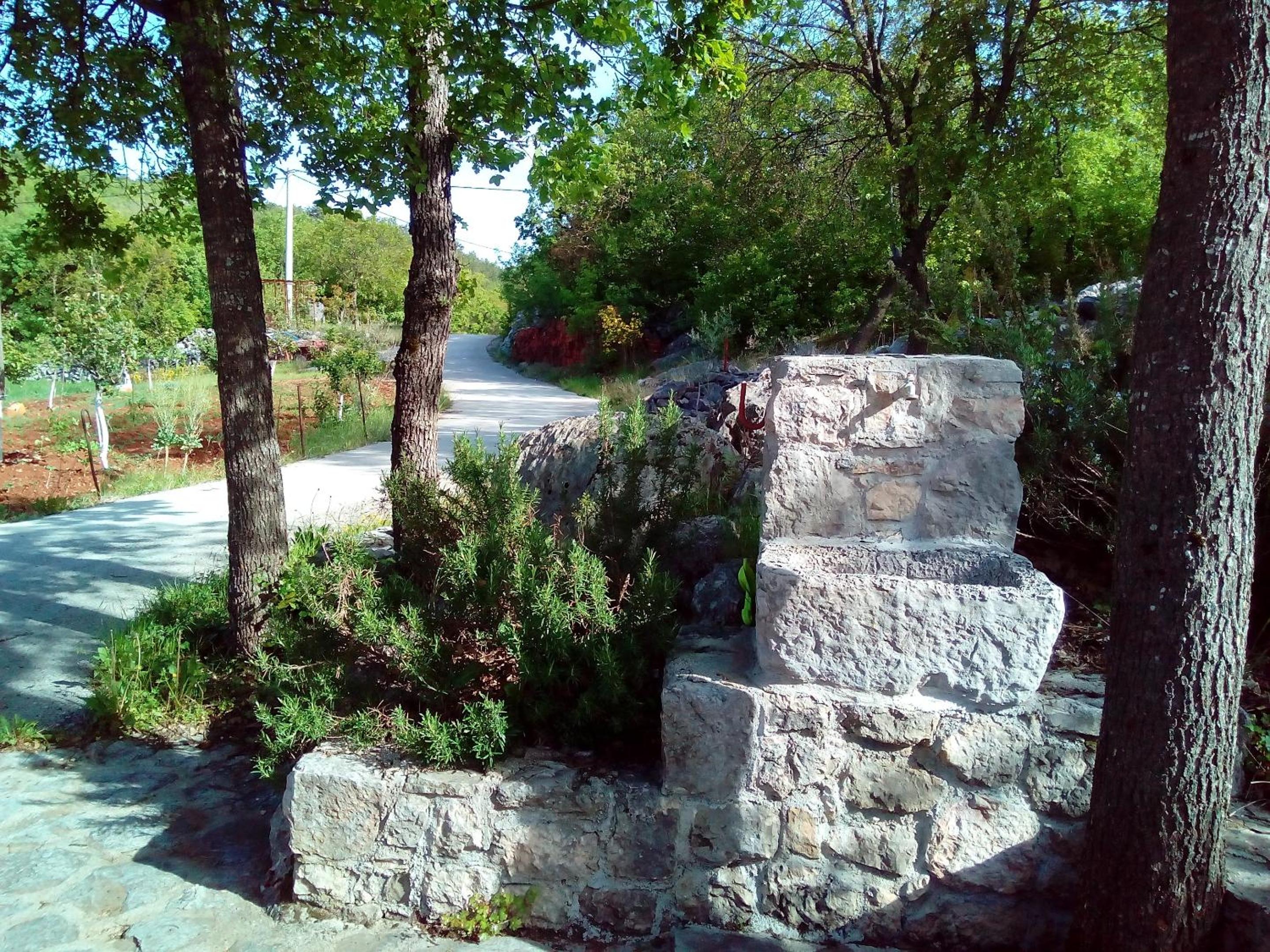 Photo 44
