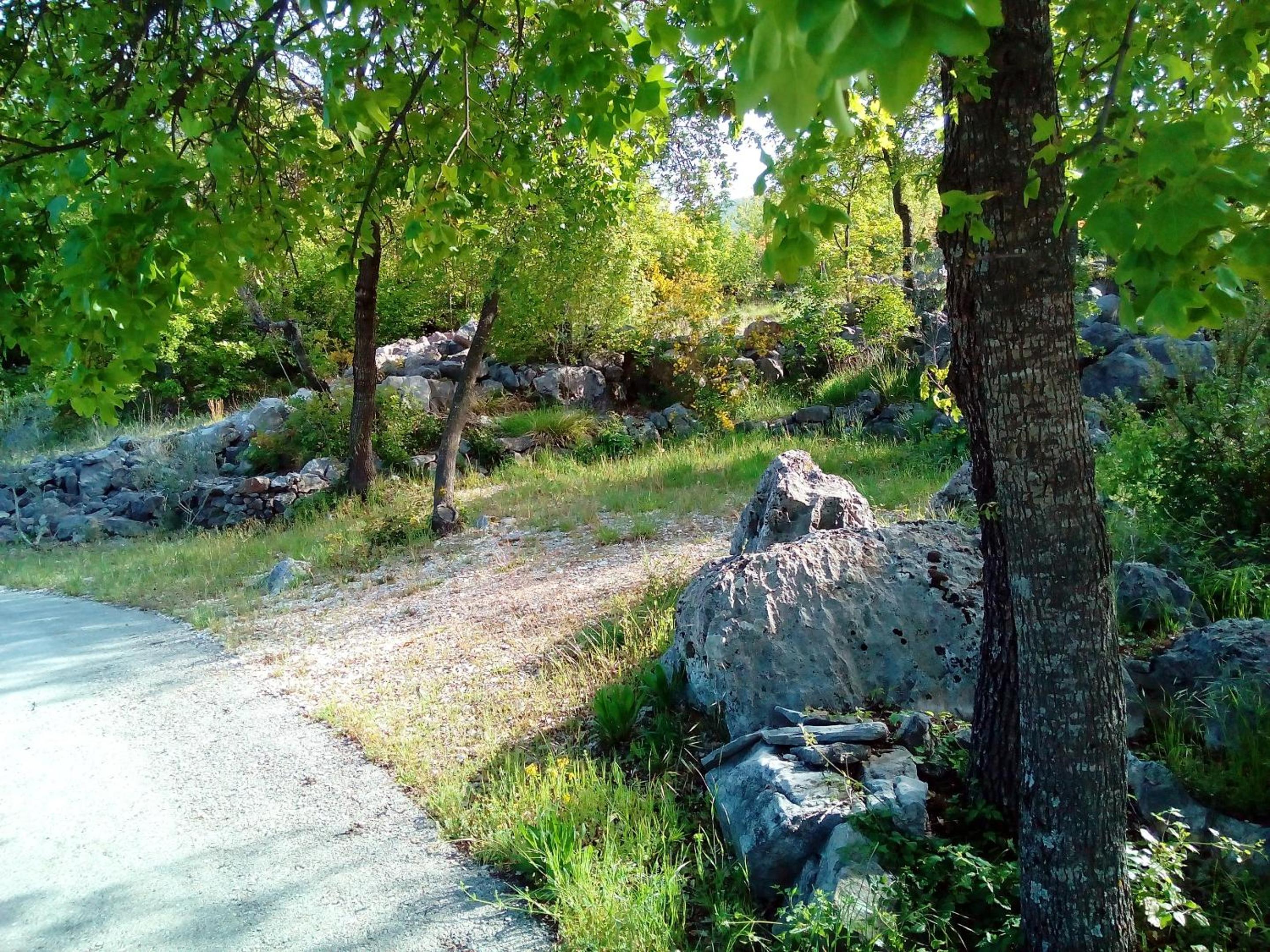 Photo 46