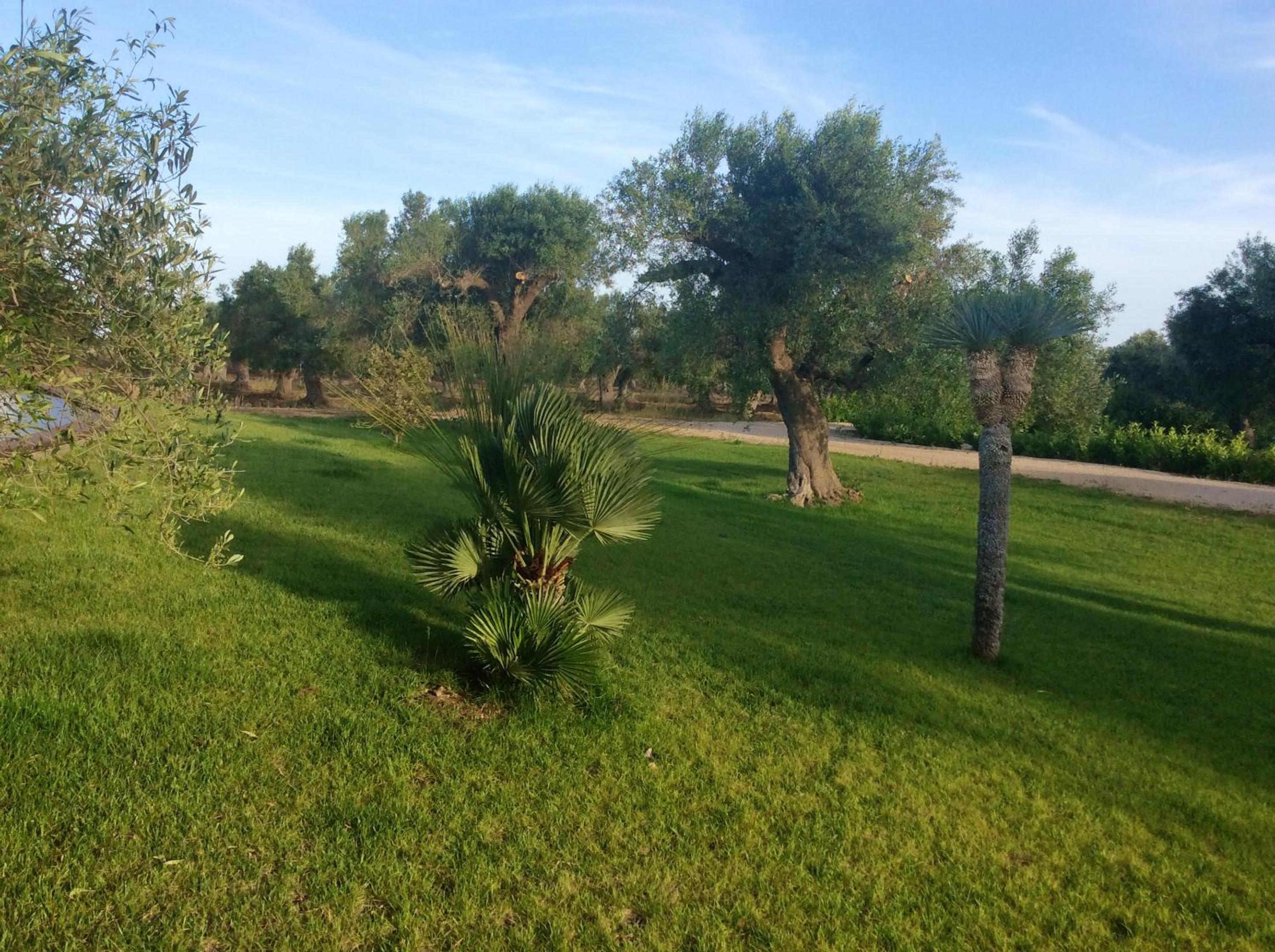 Photo 20