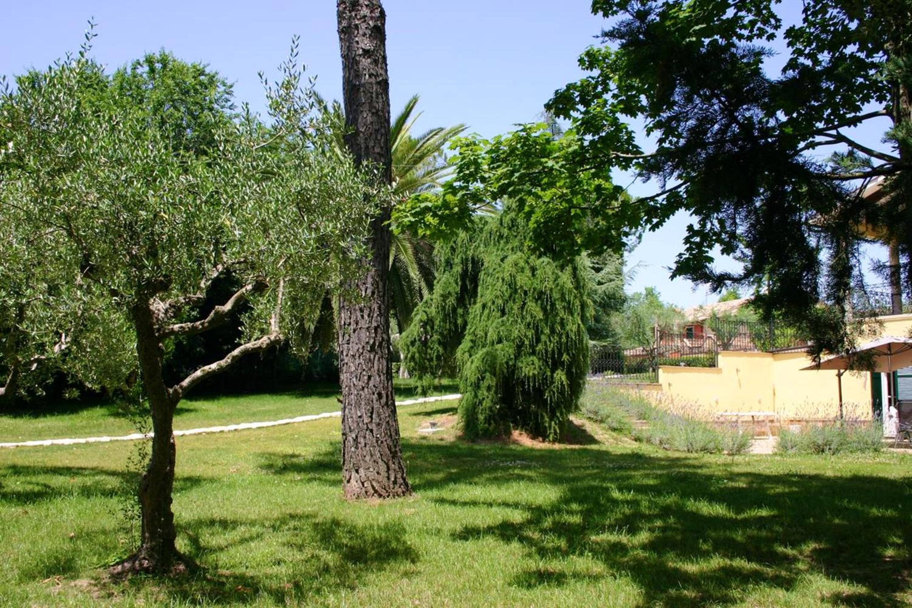 Photo 23