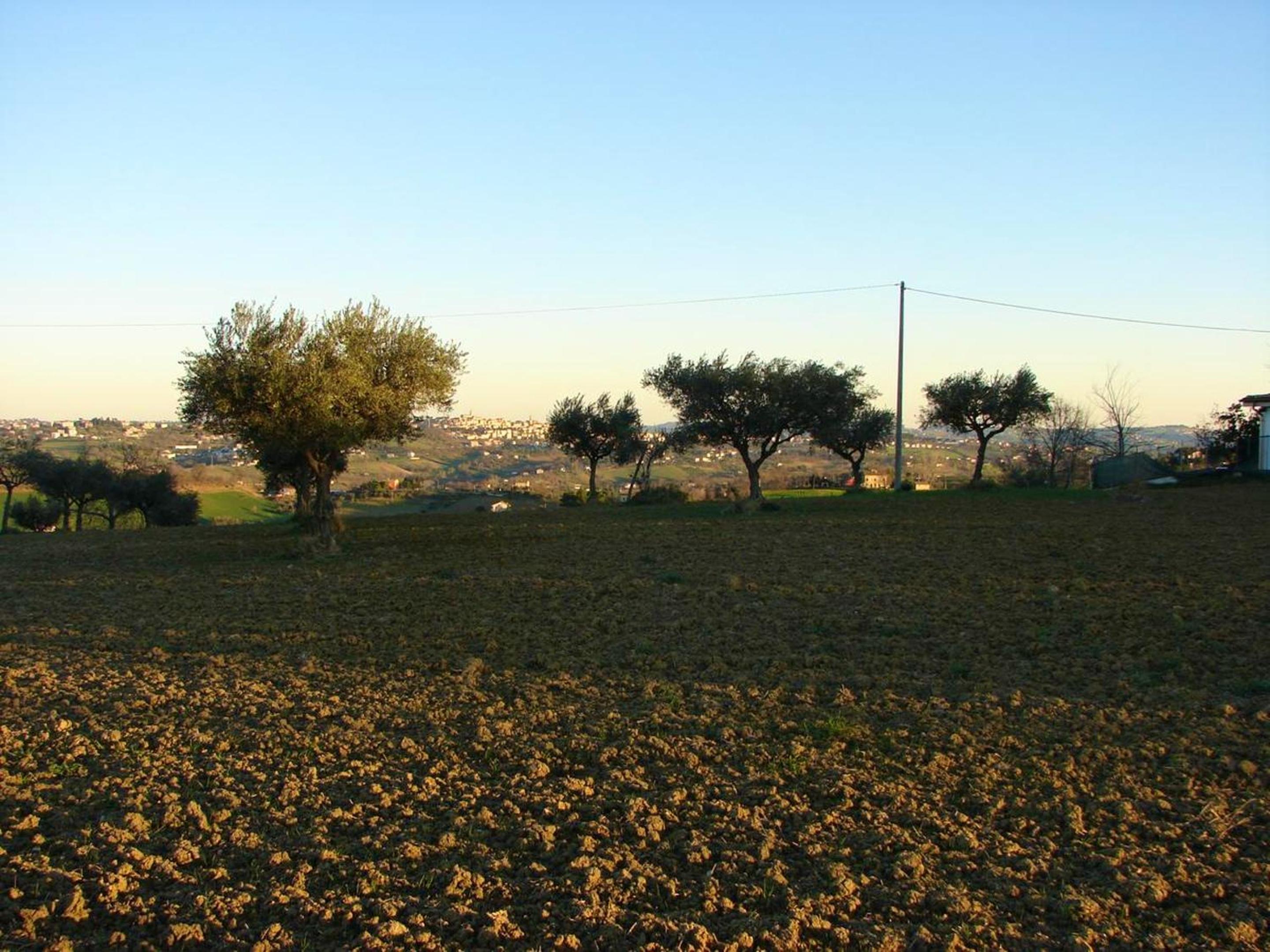 Photo 30