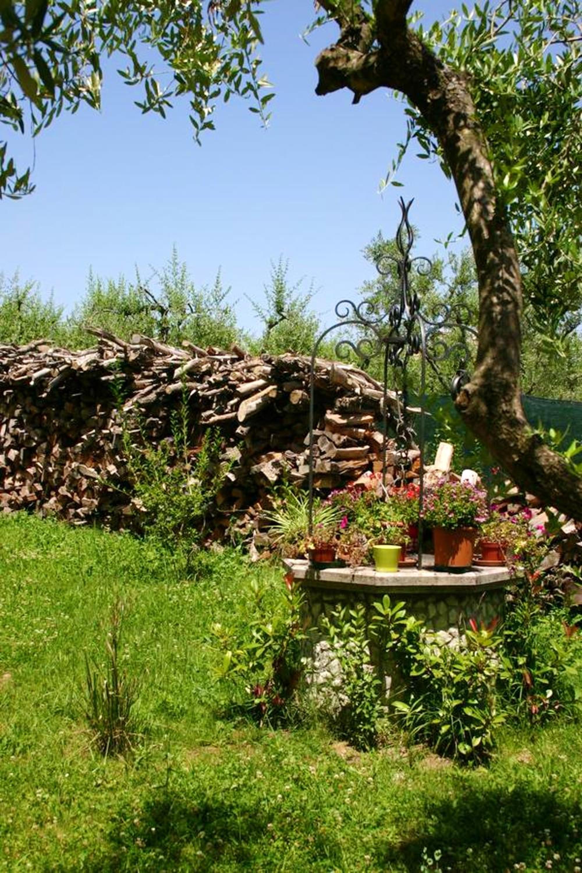 Photo 25