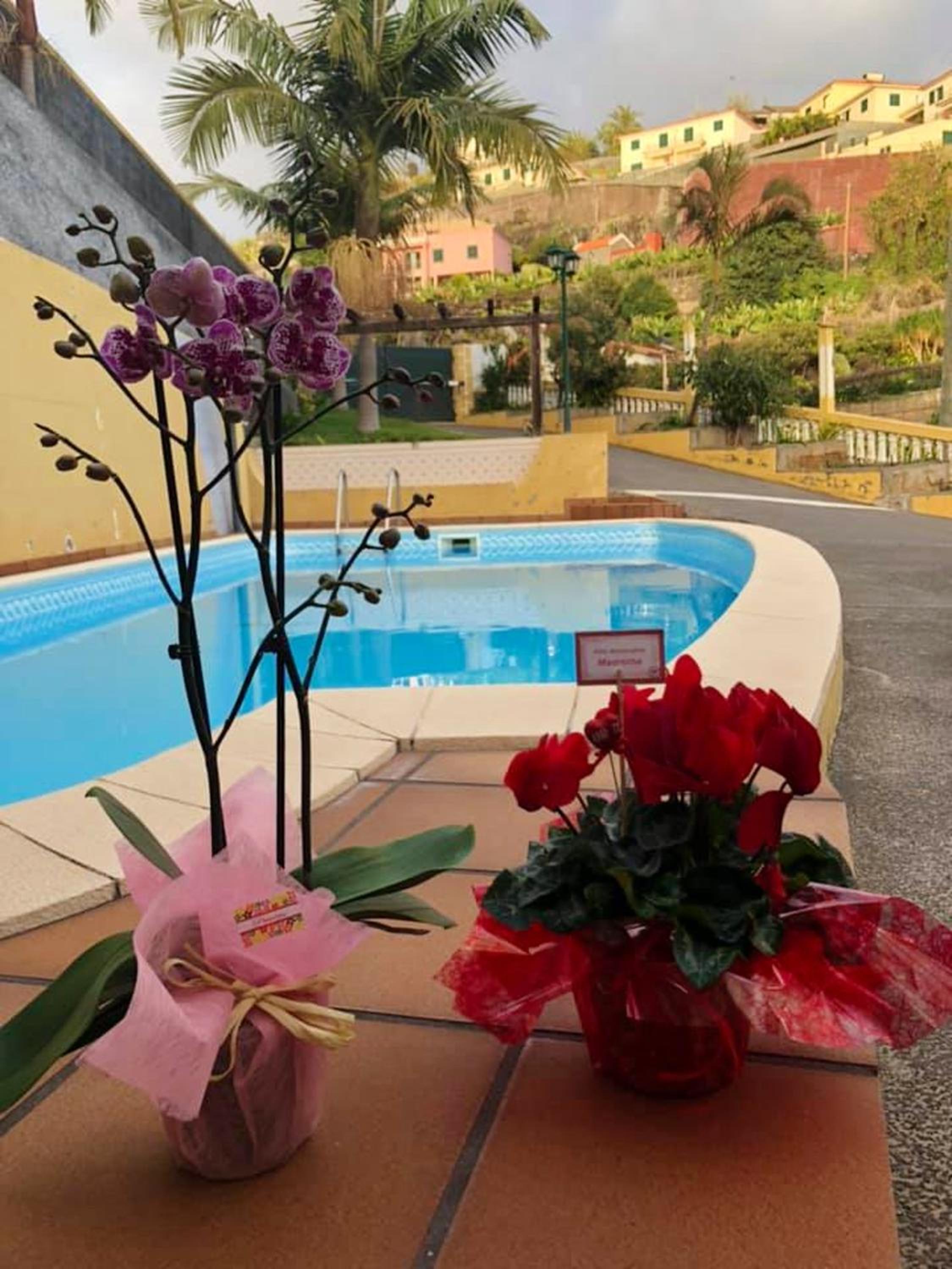 Pleasant Apartment with Private Pool in Lombo Do Doutor - 50 m² view 5