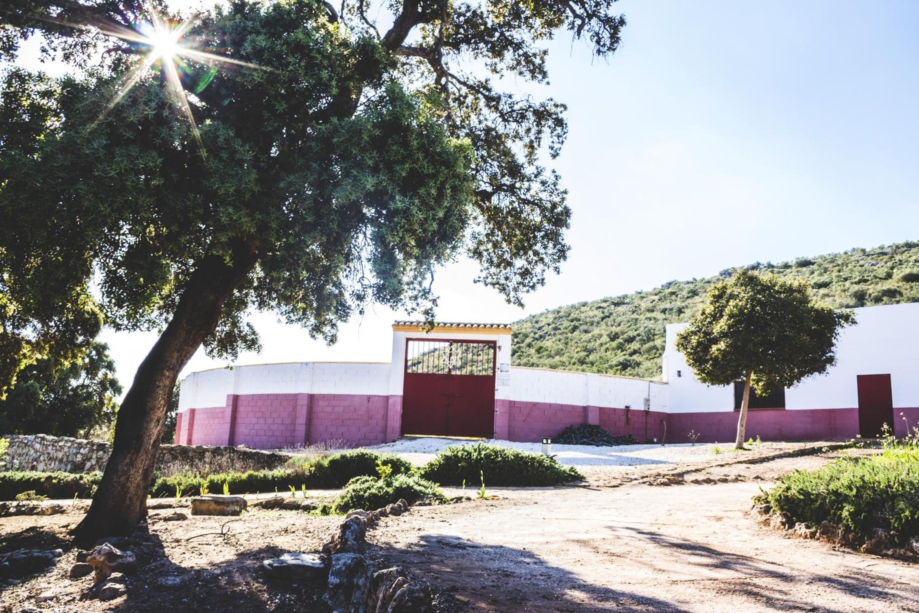Charming house in Estepa with shared pool.