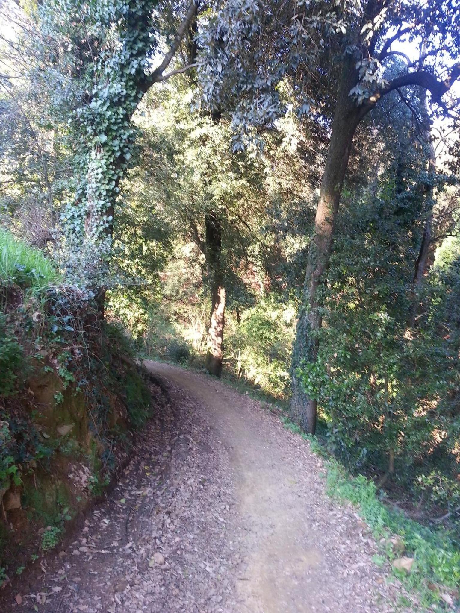 Photo 43