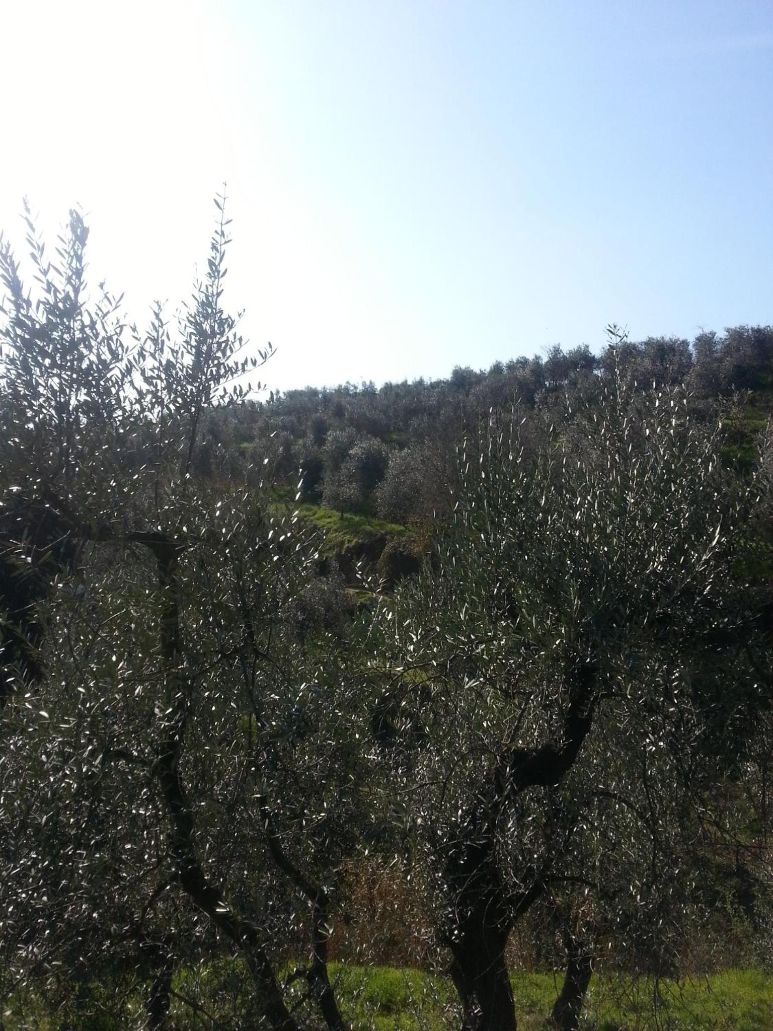 Photo 40