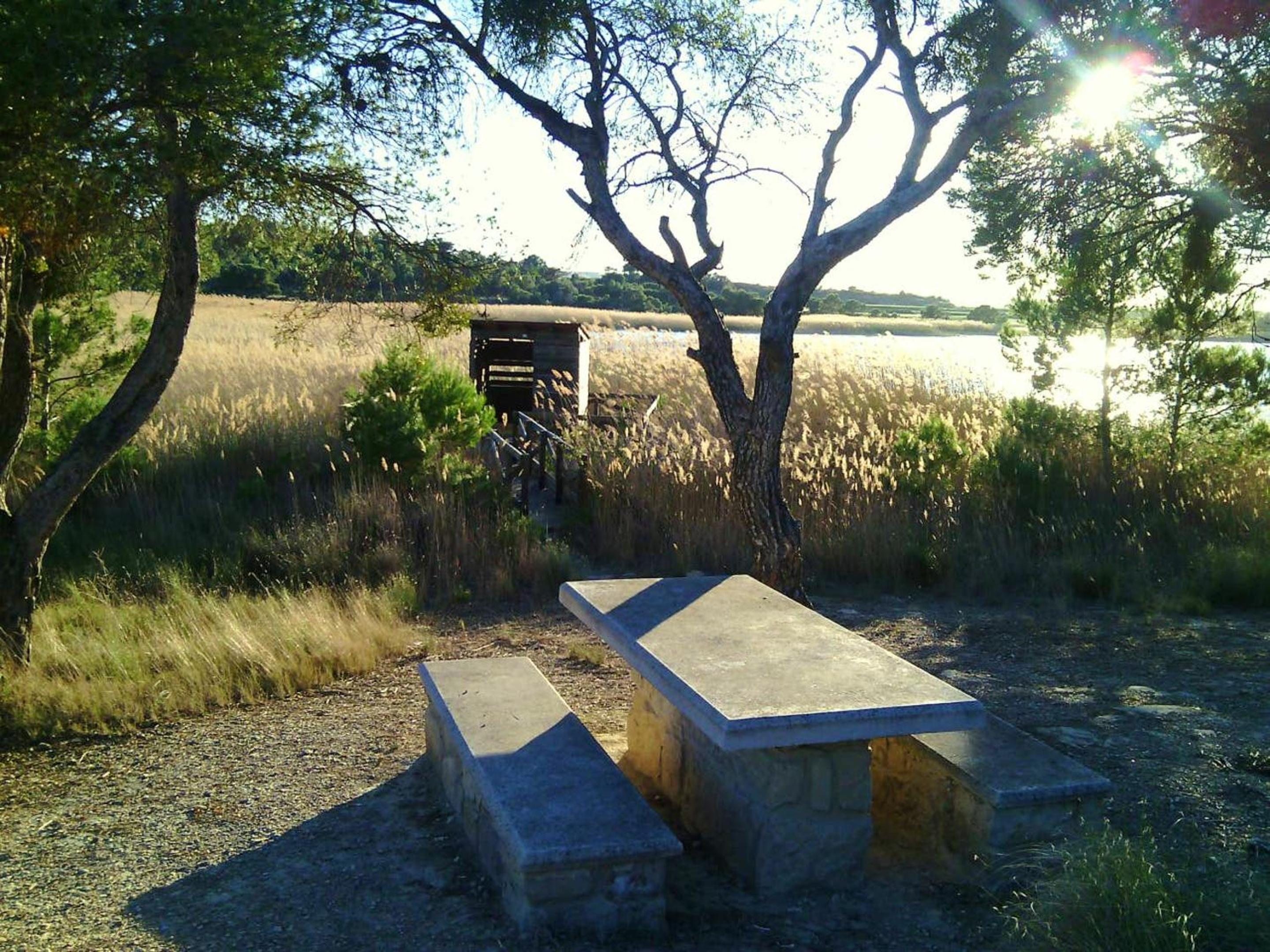 Photo 32