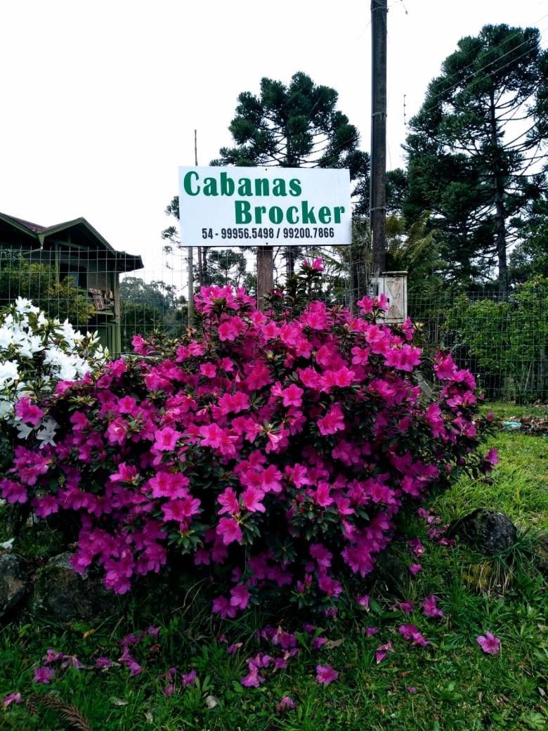 Cabanas Brocker