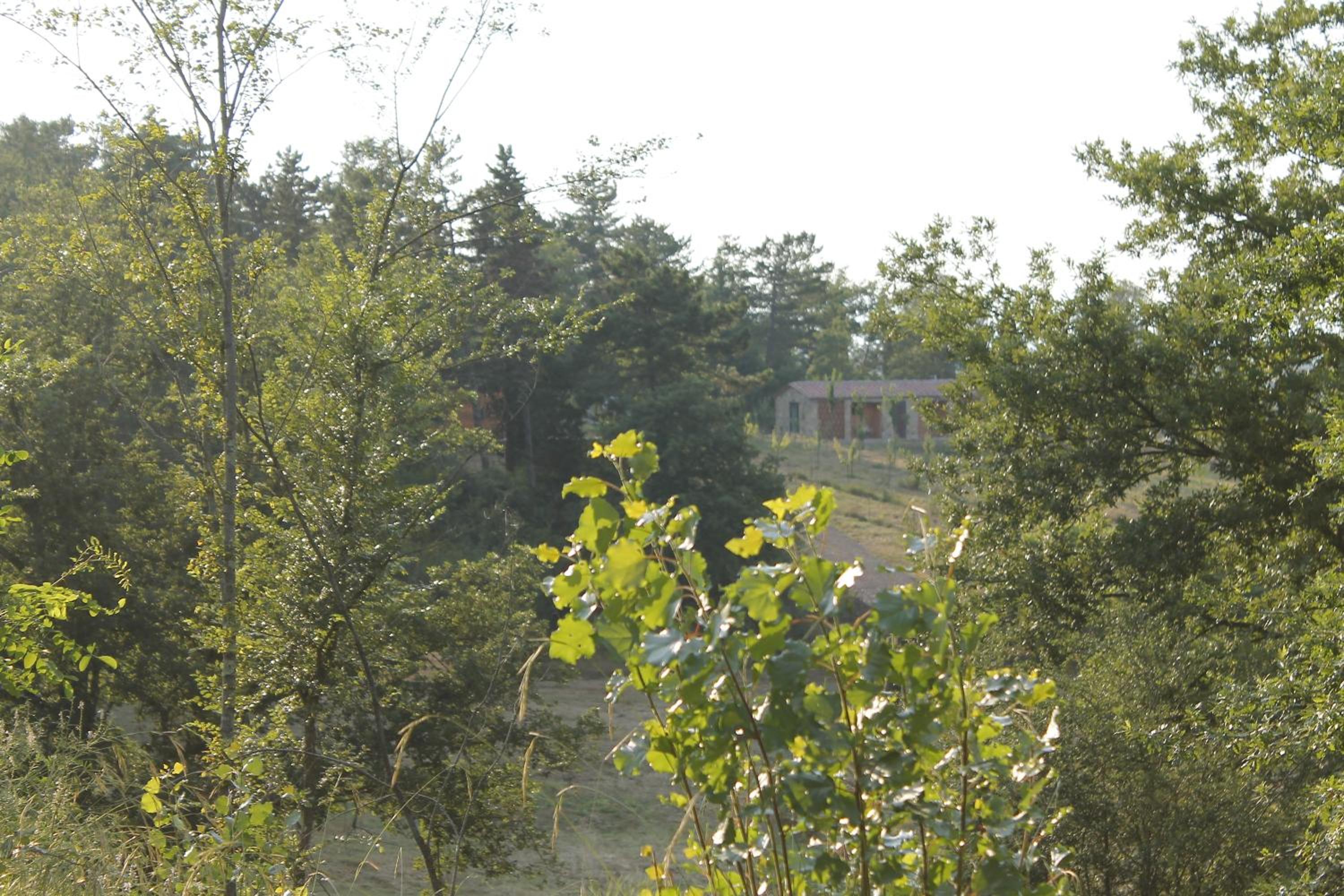 Photo 43