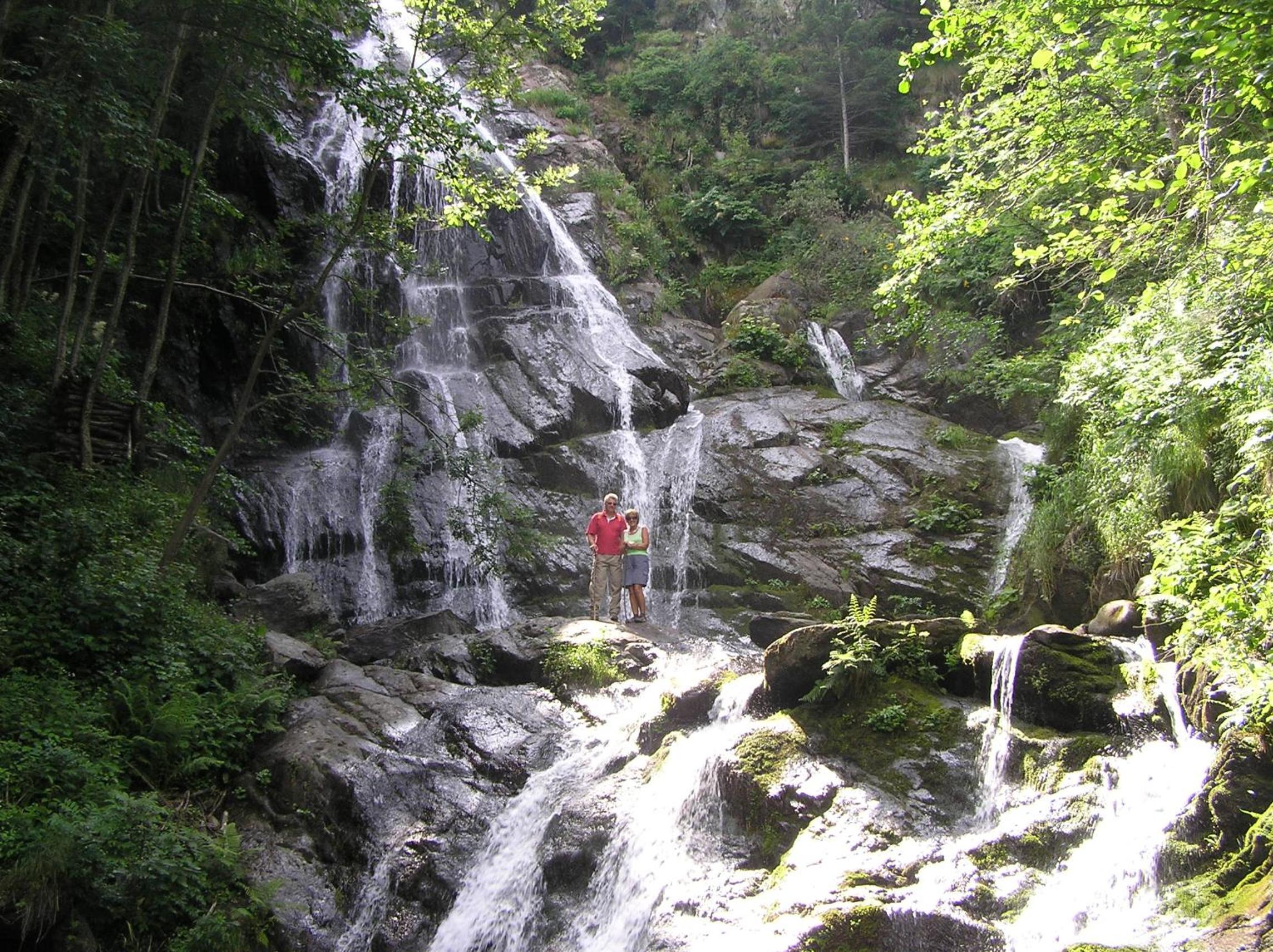 Photo 41