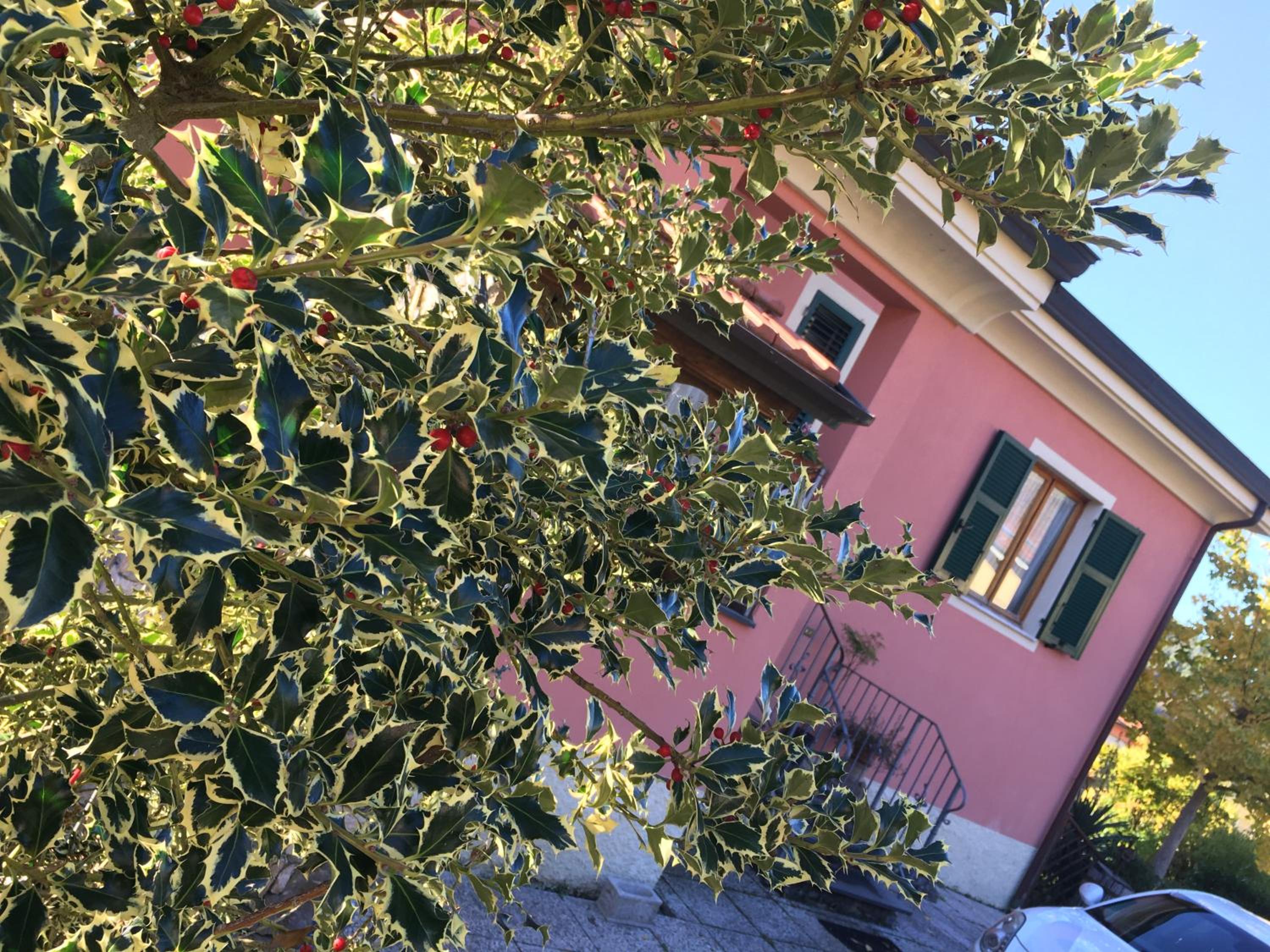 Il Ghiretto Appartamento view 2