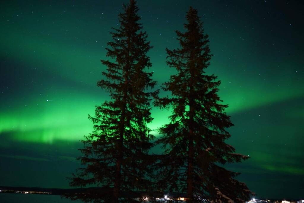 Northernlight cabin view 5