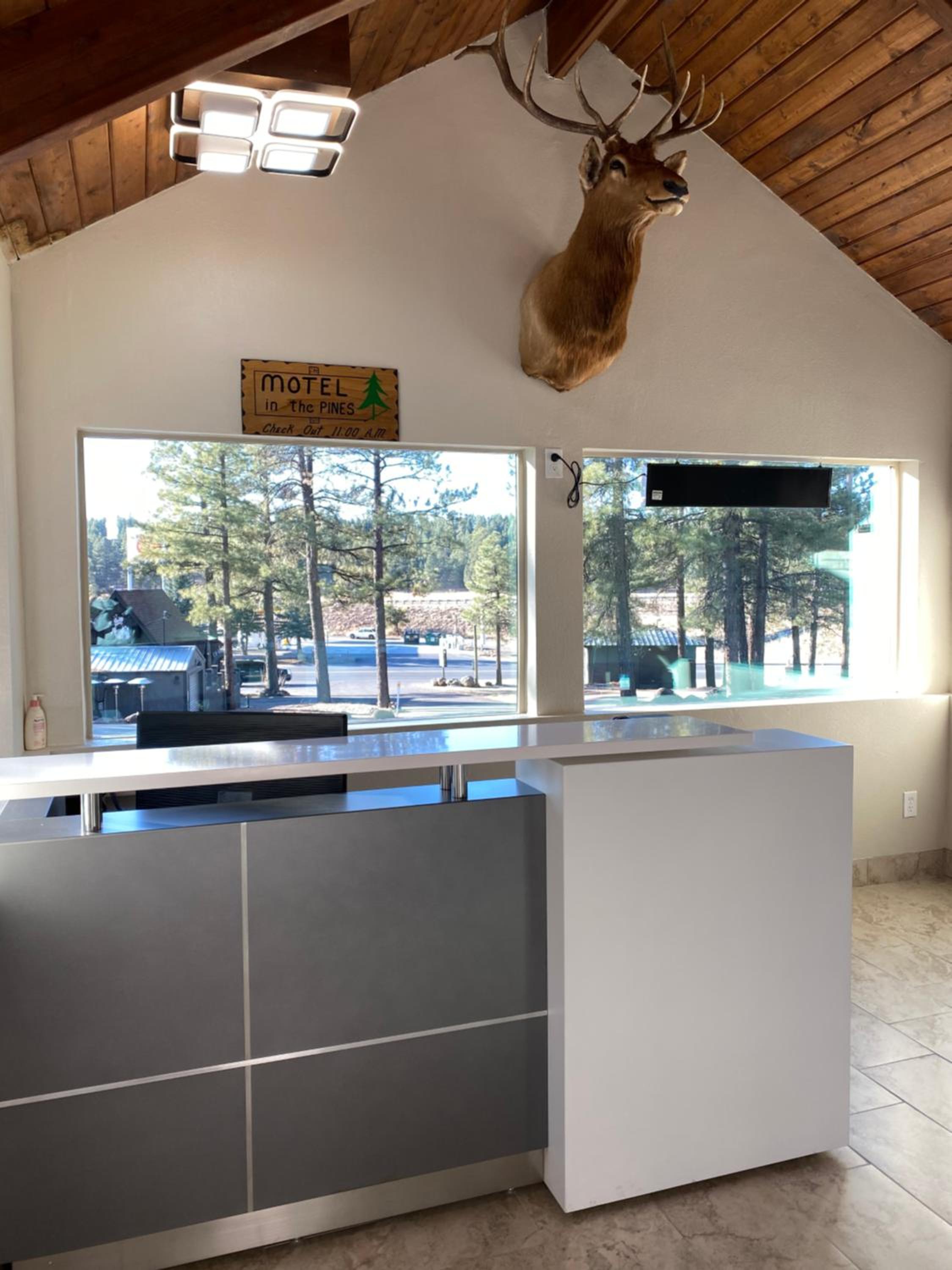 Motel In The Pines - Property Image 12