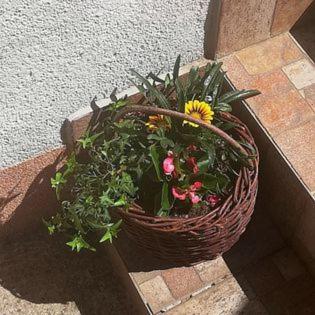 Photo 37