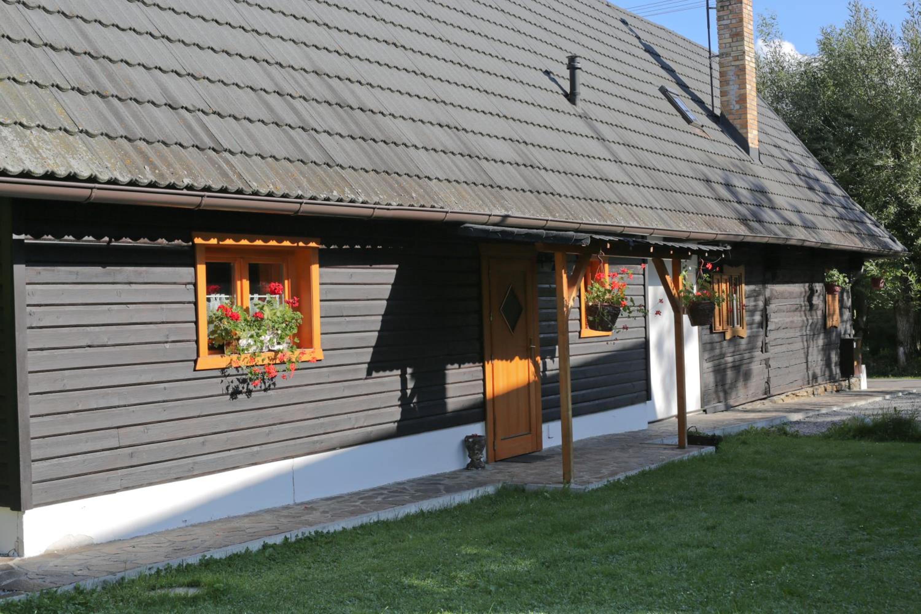 Photo 11