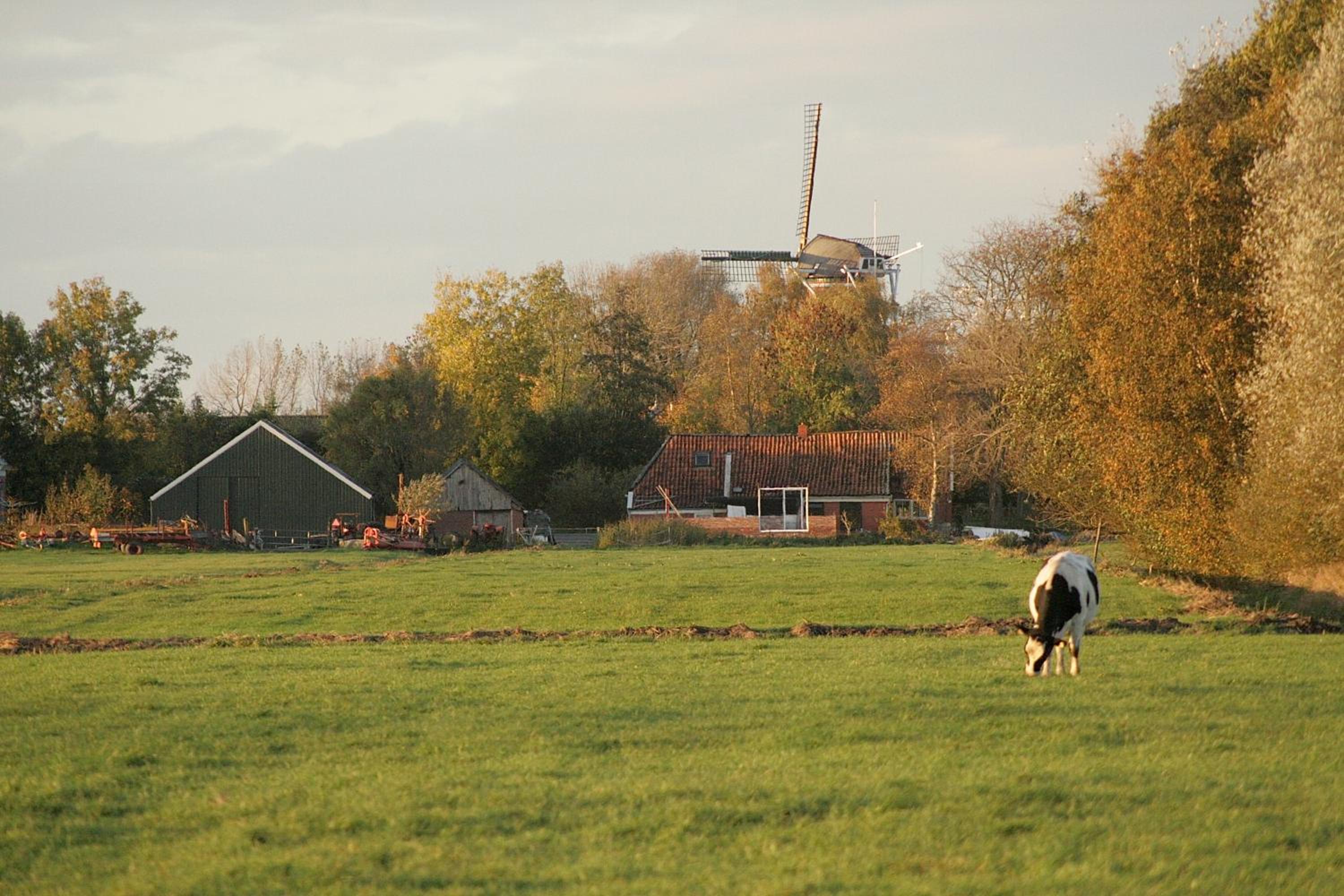 Photo 40