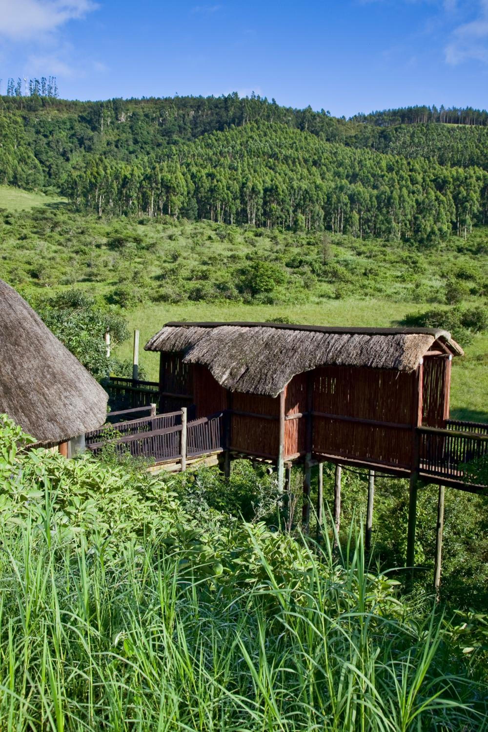 iNsingizi Lodge
