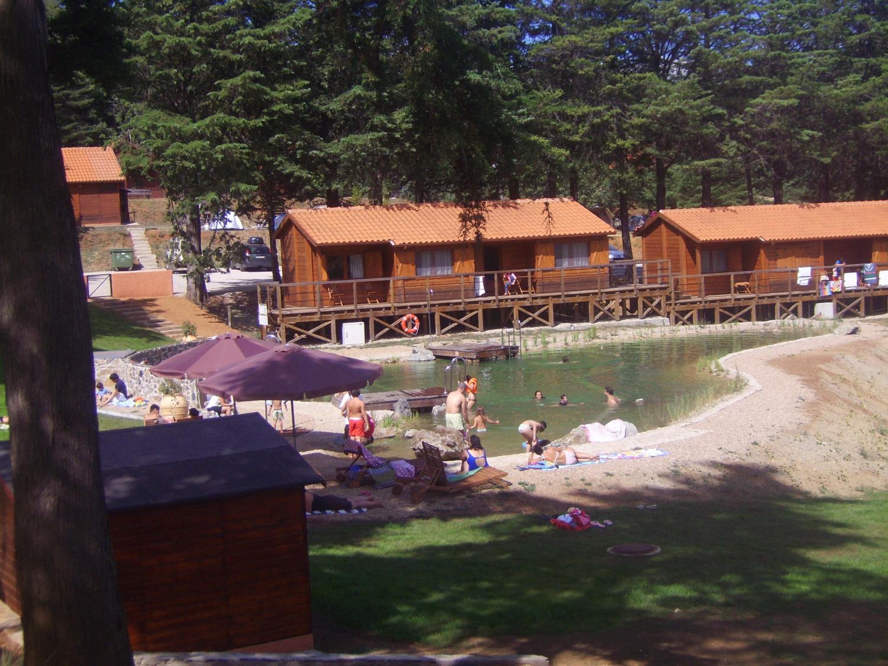 Photo 48