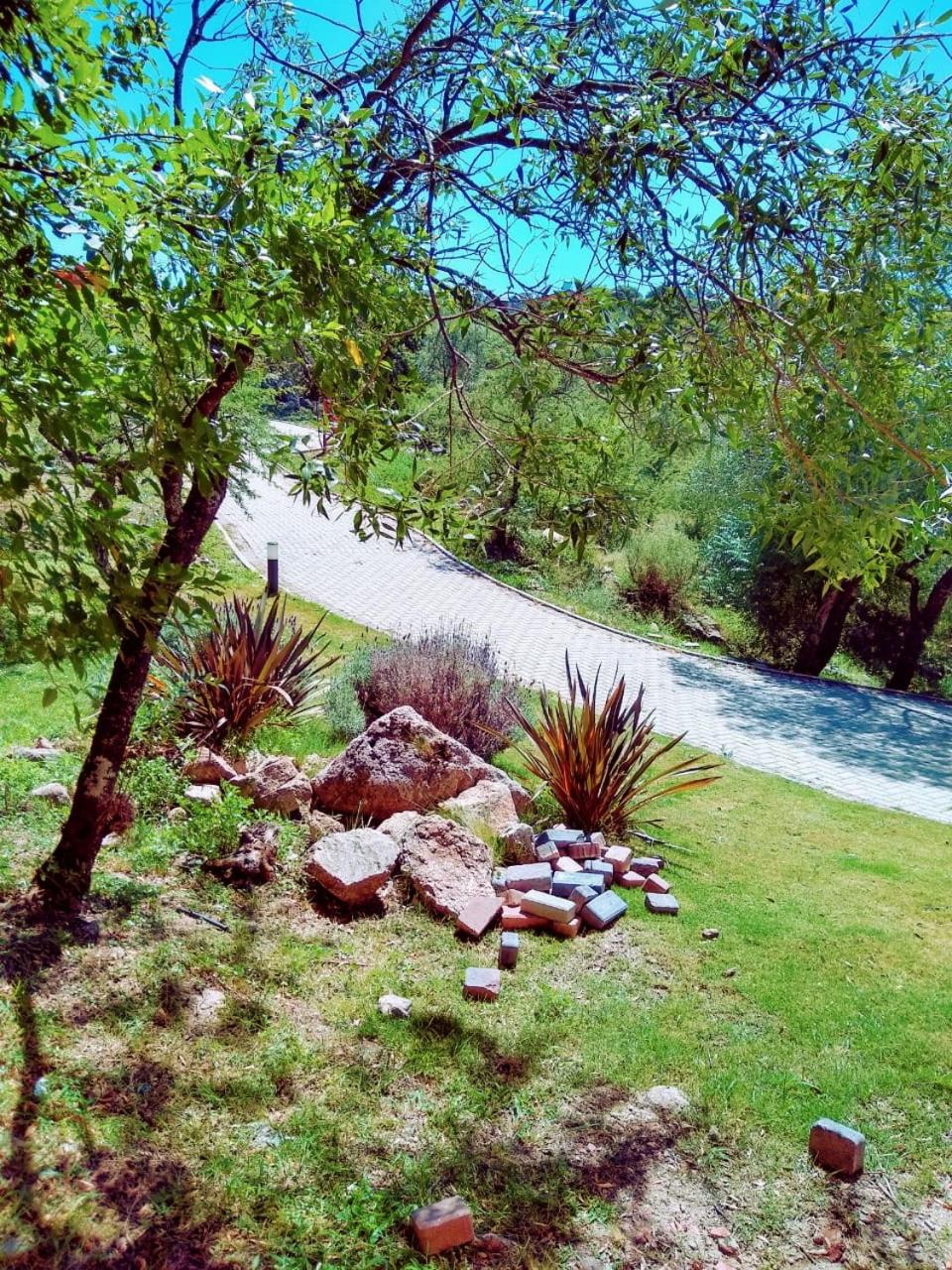 CAMINITOS
