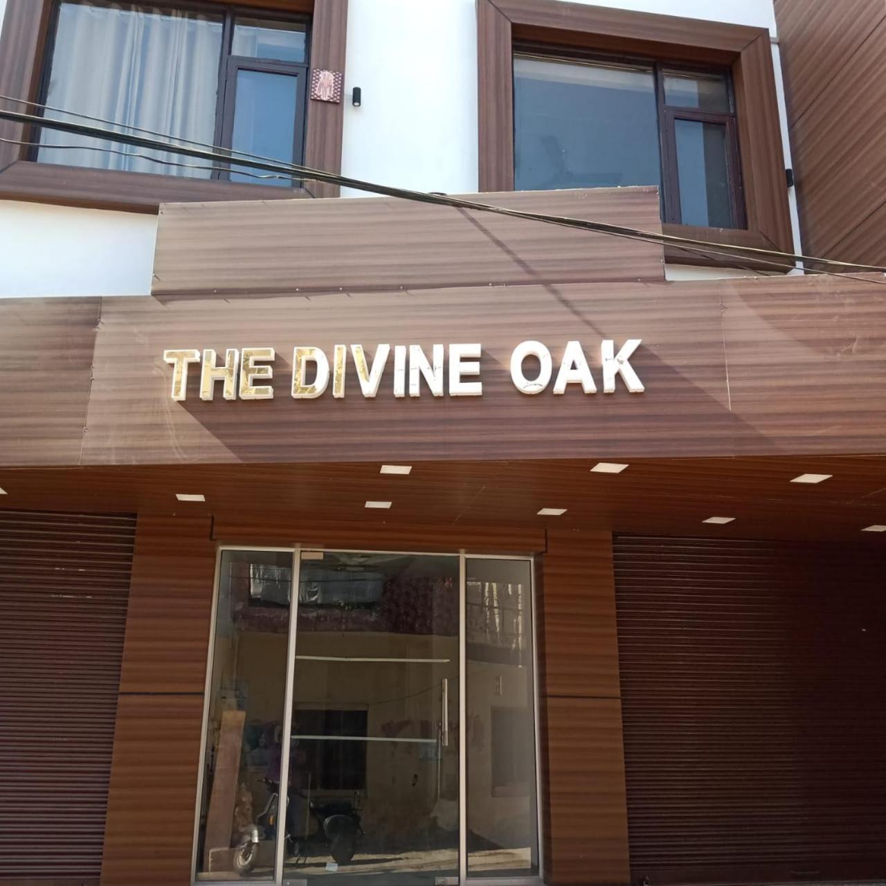 Katra Vacations - The Divine Oak - Property Image 4