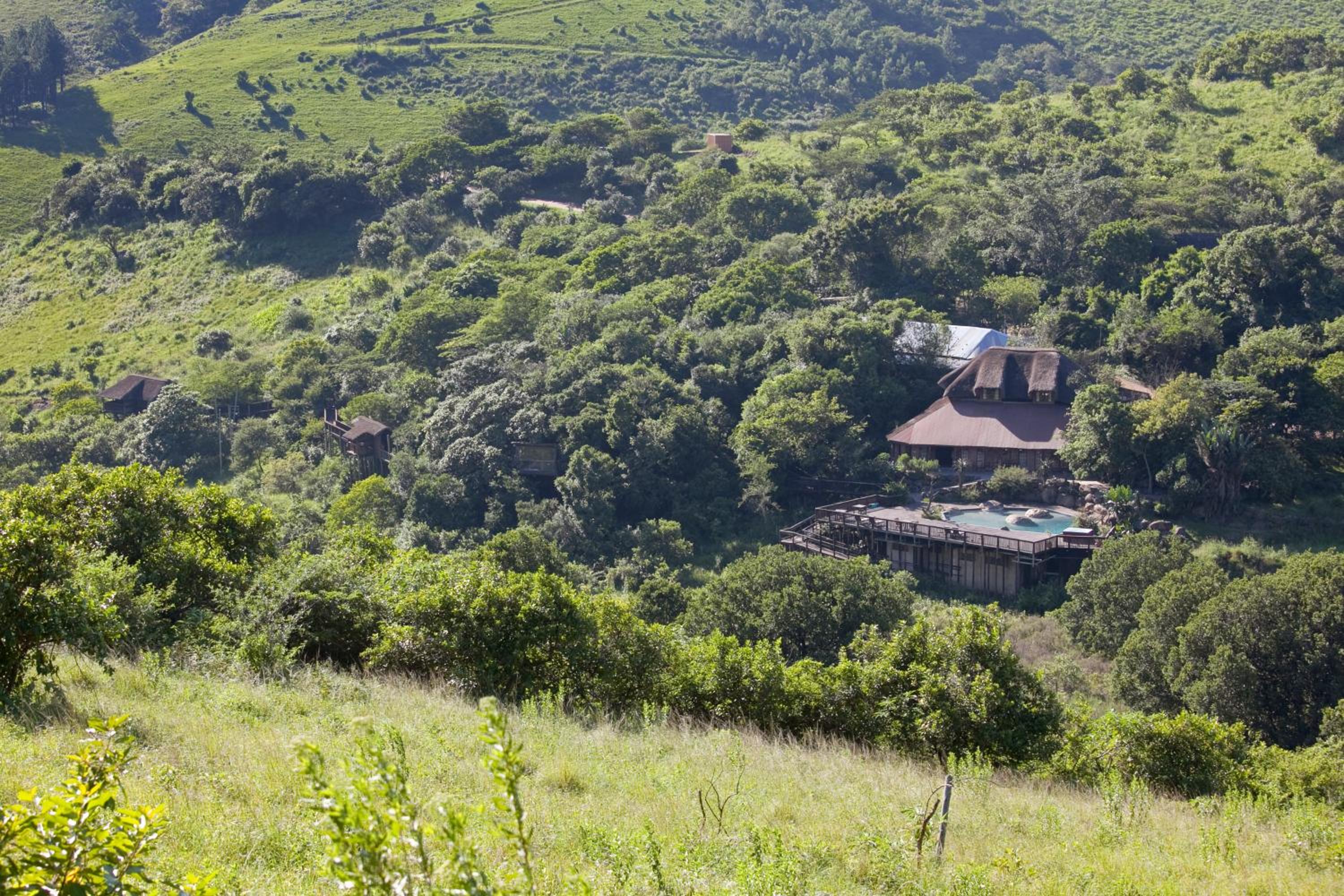 iNsingizi Lodge
